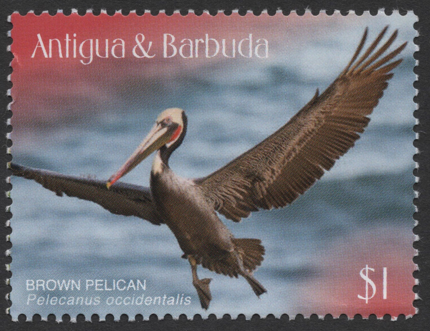 SCG1332 - Antigua & Barbuda $1 Brown Pelican Stamp (Pelecanus occidentalis)