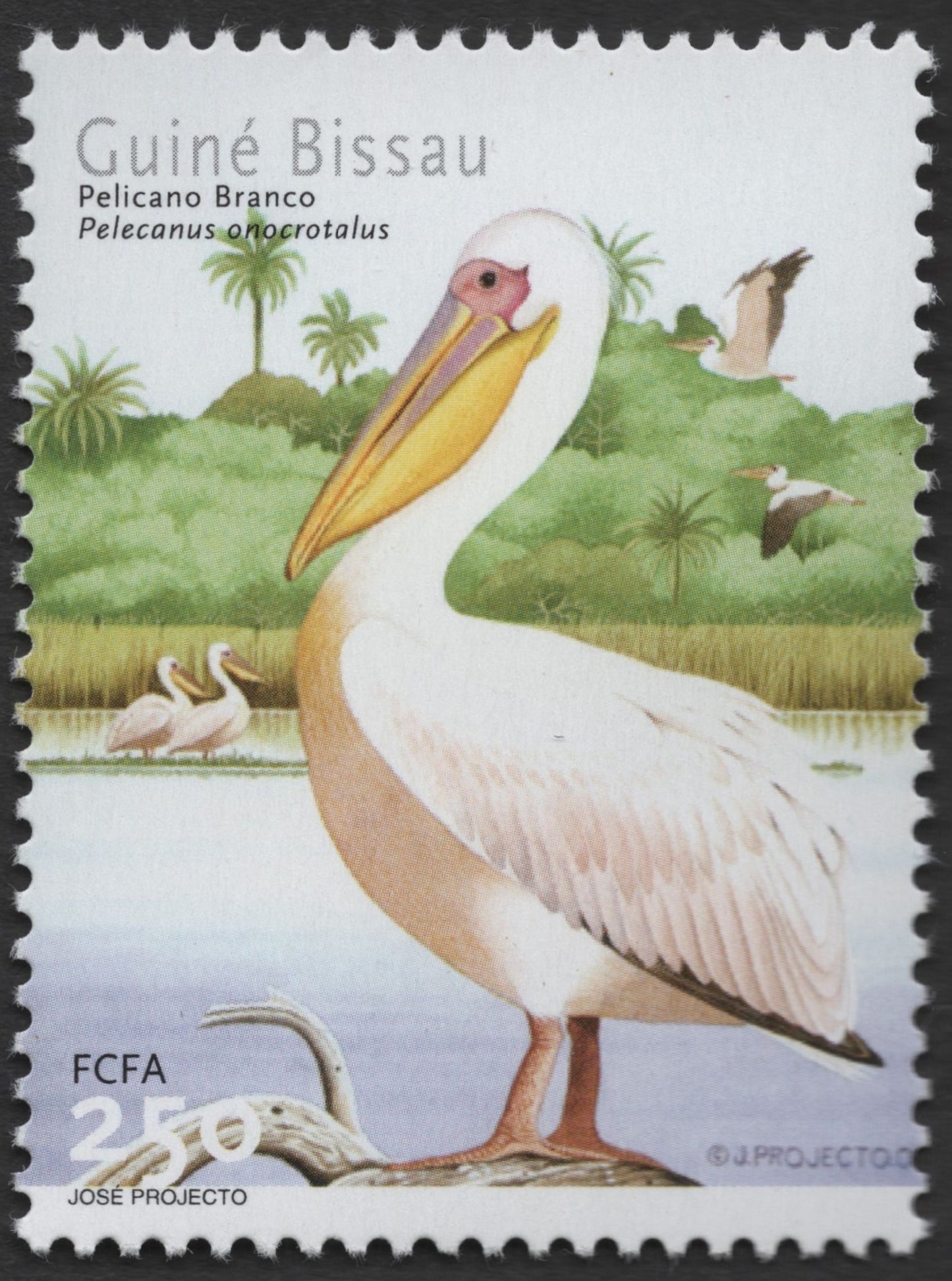 SCG1333 - Guinea-Bissau 250 FCFA – Great White Pelican (Pelecanus onocrotalus)