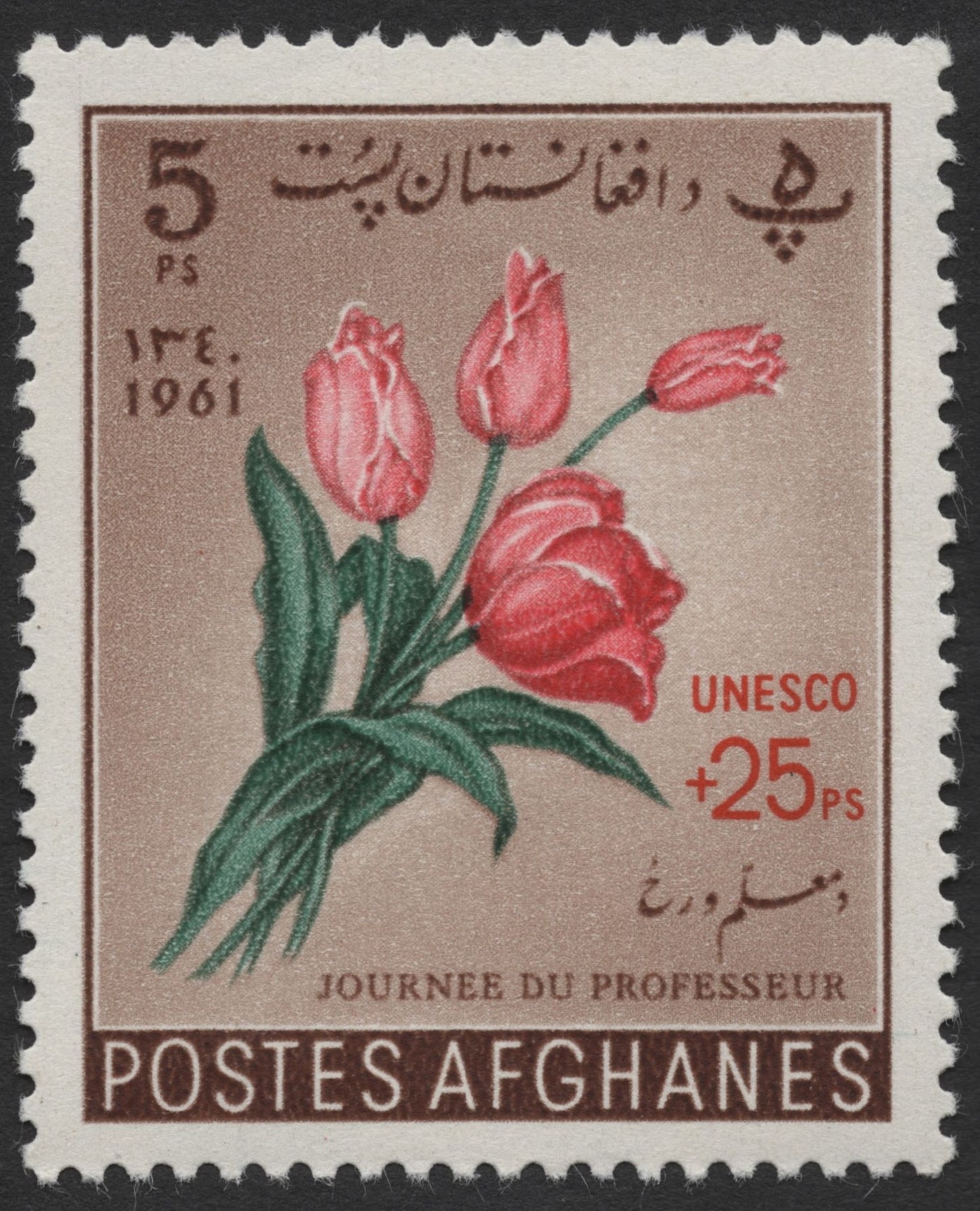 SCG1380 - Afghanistan UNESCO Teacher’s Day Stamp – 1961 Tulip Issue