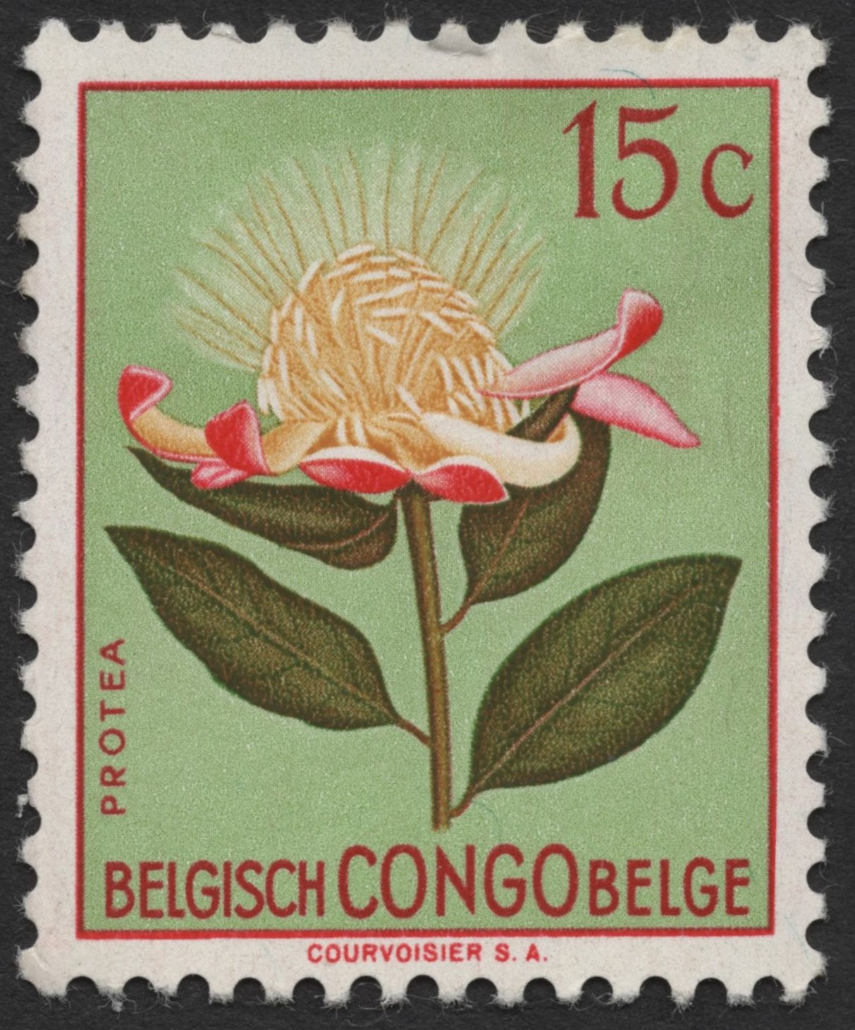 SCG1371 - Belgian Congo Protea Flower Stamp – 15 Centimes