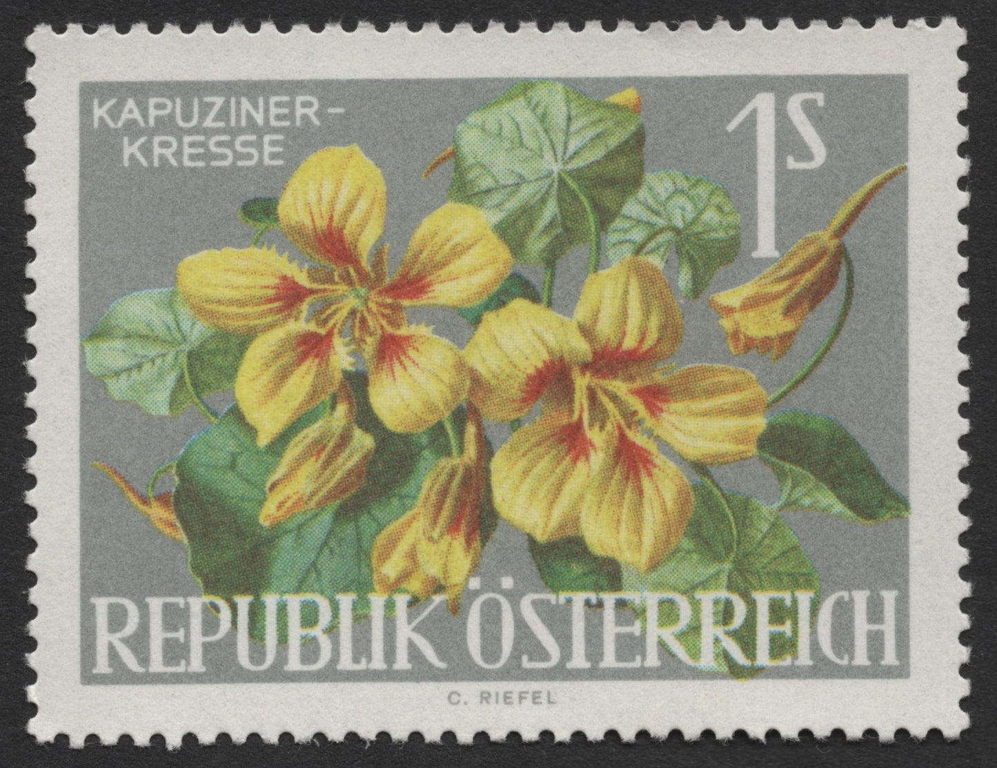 SCG1373 - Austria 1s Nasturtium Stamp – Kapuzinerkresse