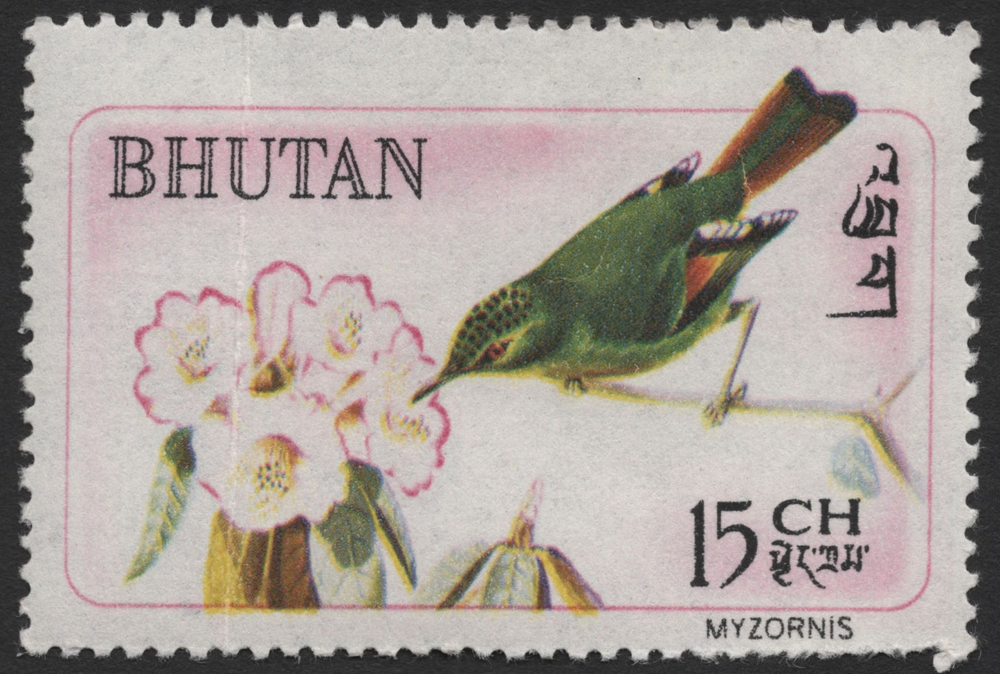 SCG1351 - Bhutan 15 Ch – Myzornis and Rhododendron
