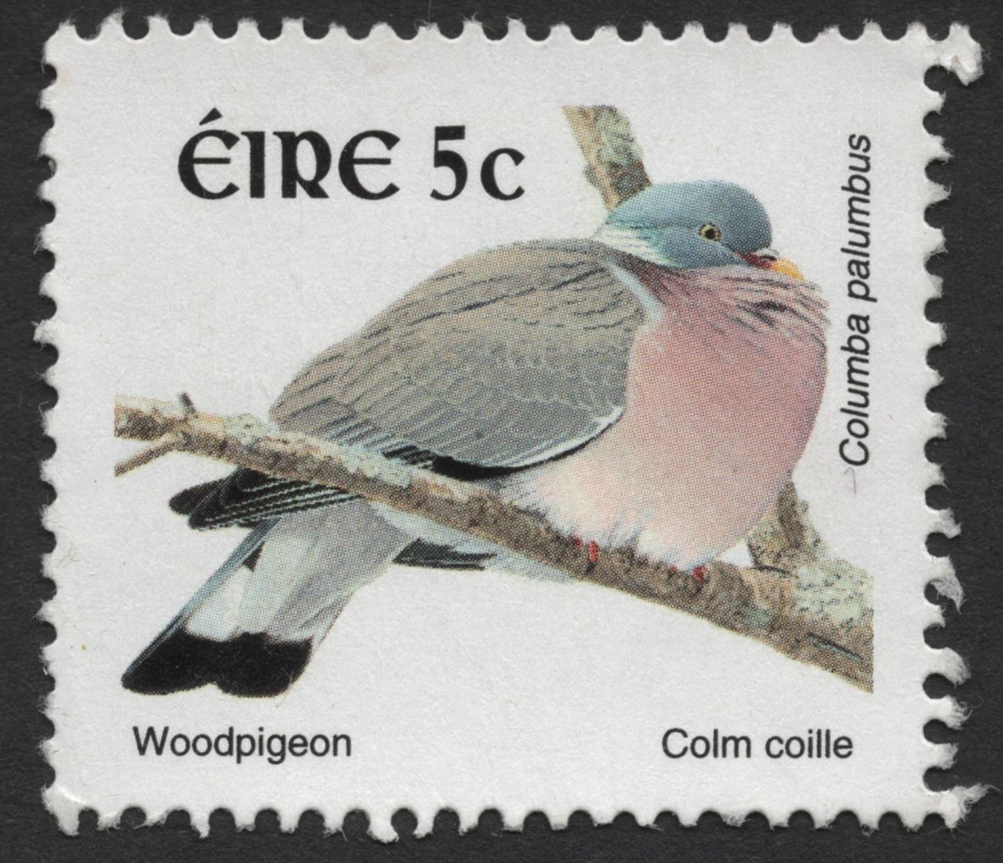 SCG1342 - Ireland 5c Woodpigeon Stamp (Columba palumbus)