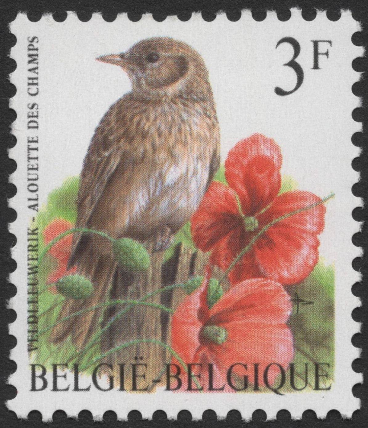SCG1349 - Belgium 3F – Eurasian Skylark and Poppies