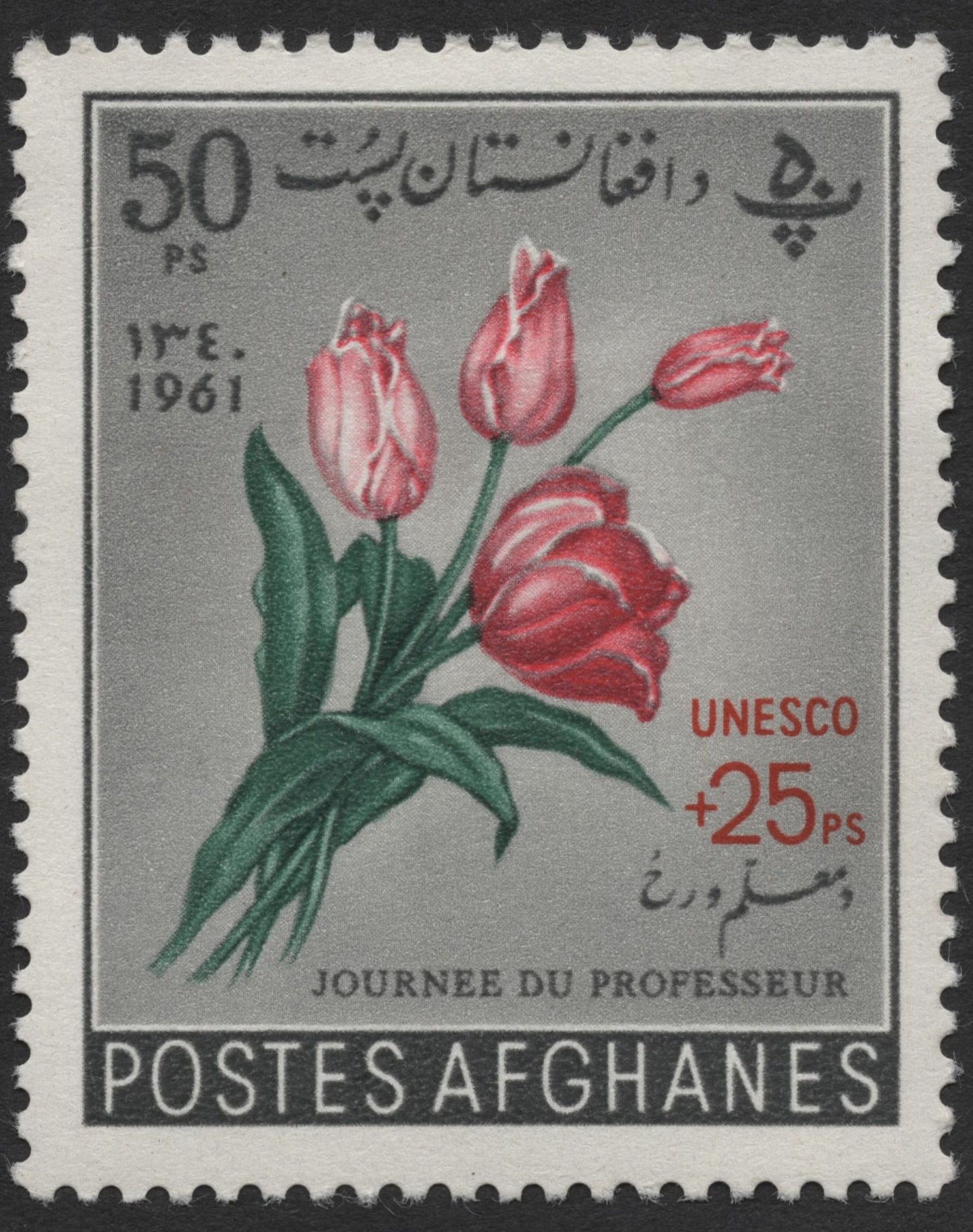 SCG1388 - Afghanistan 1961 Teacher’s Day Stamp – 50+25 Ps Tulips (UNESCO)