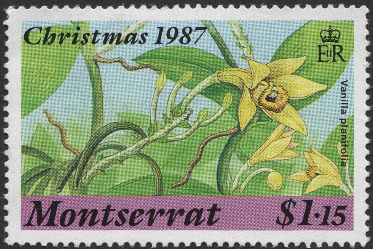 SCG1405 - Montserrat – 1987 Christmas Vanilla Orchid Stamp