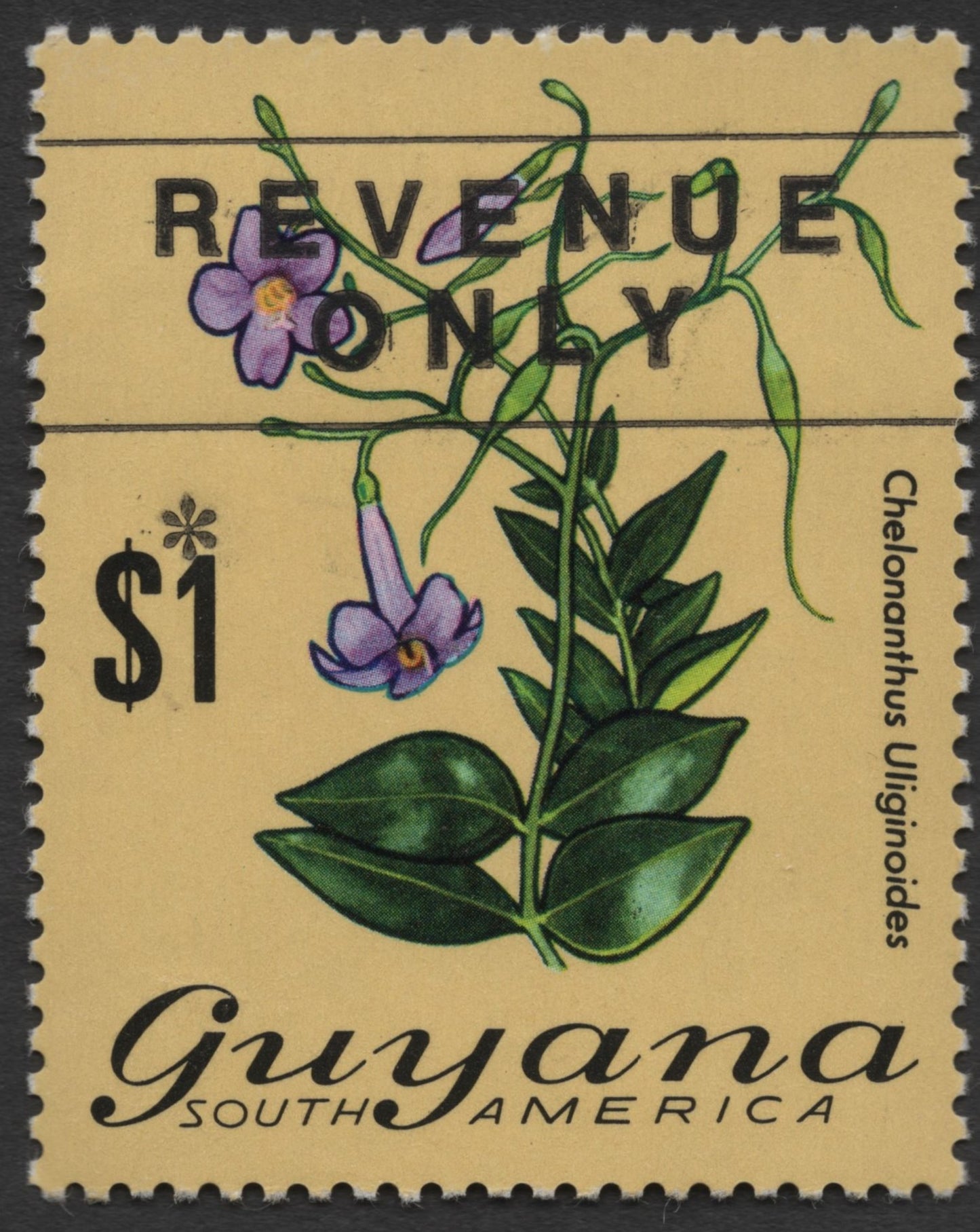 SCG1409 - Guyana – $1 Fiscal Stamp with Chelonanthus Illustration