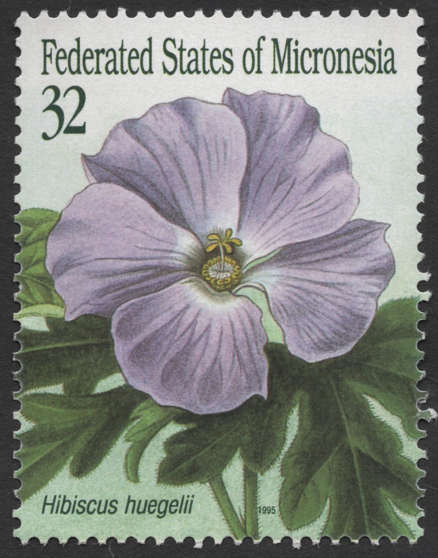 SCG1400 - Micronesia 1995 – Hibiscus Huegelii 32c