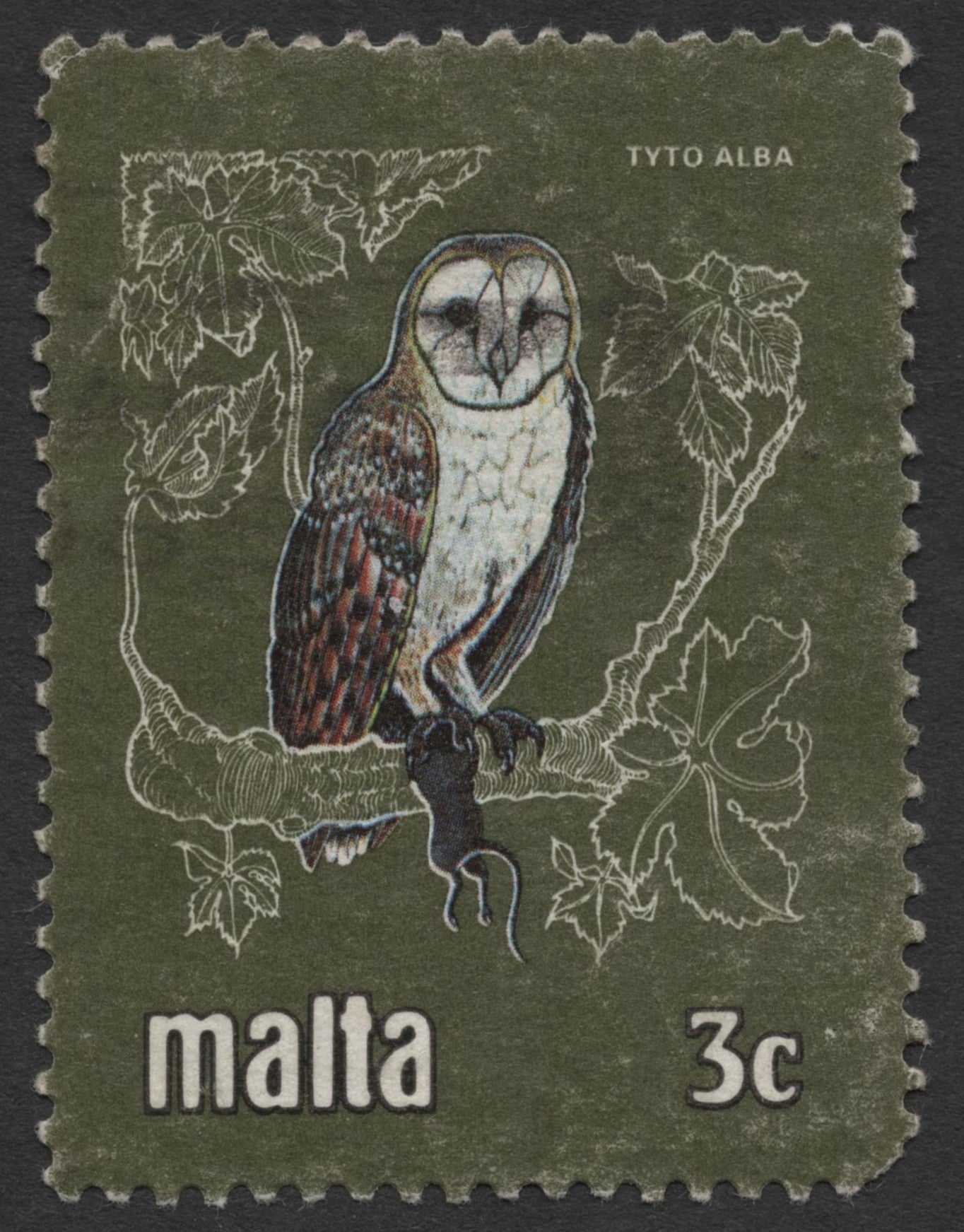 SCG1364 - Malta 3c Barn Owl Stamp (Tyto Alba)
