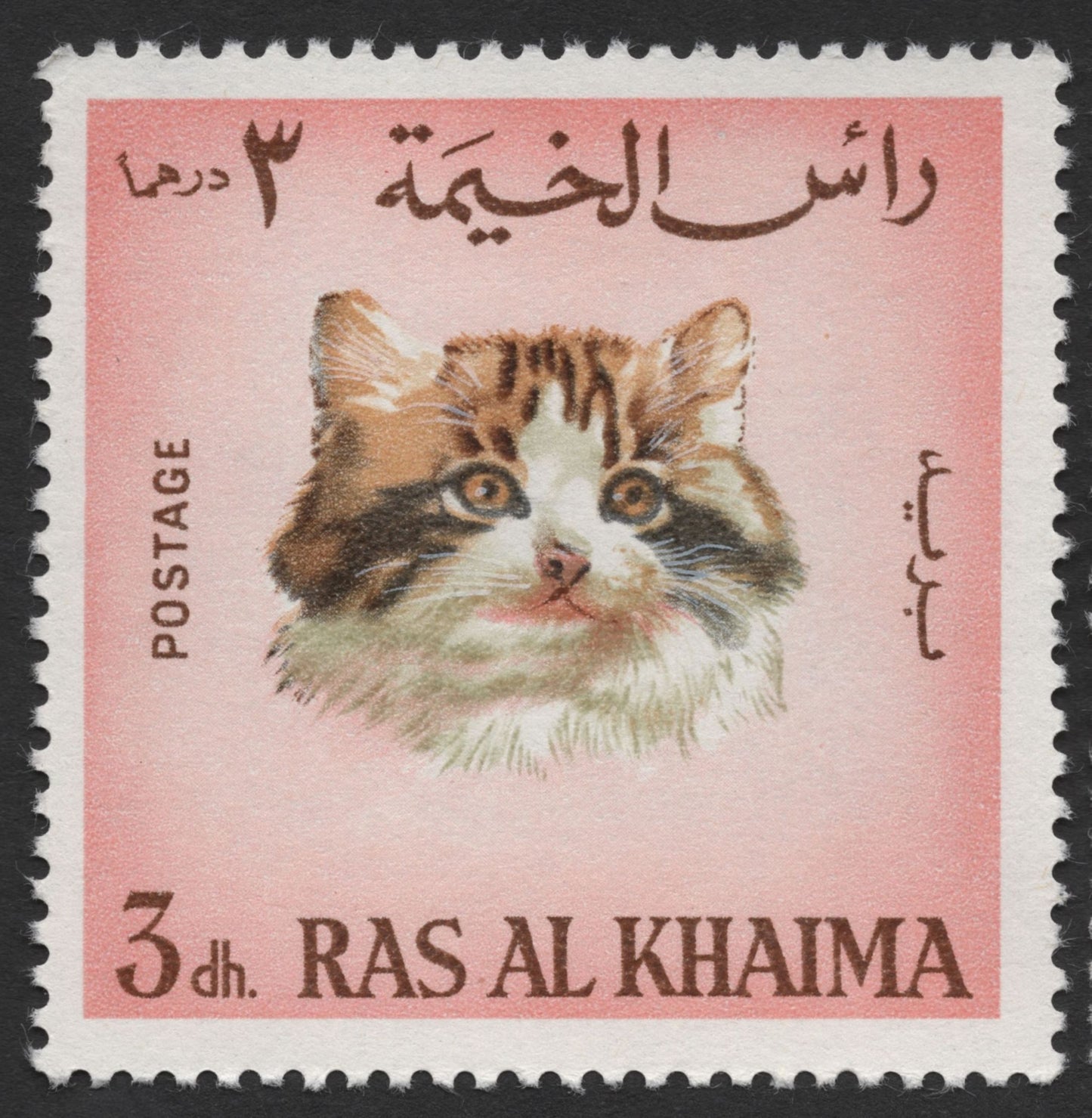 SCG1555 - Ras Al Khaimah Feline Trio – Postage & Airmail Kitten Series