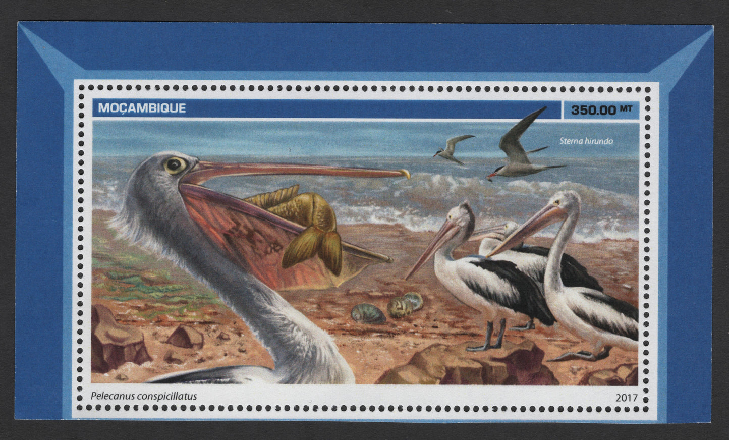 SCG1649 - Mozambique 2017 Miniature Sheet – Australian Pelican