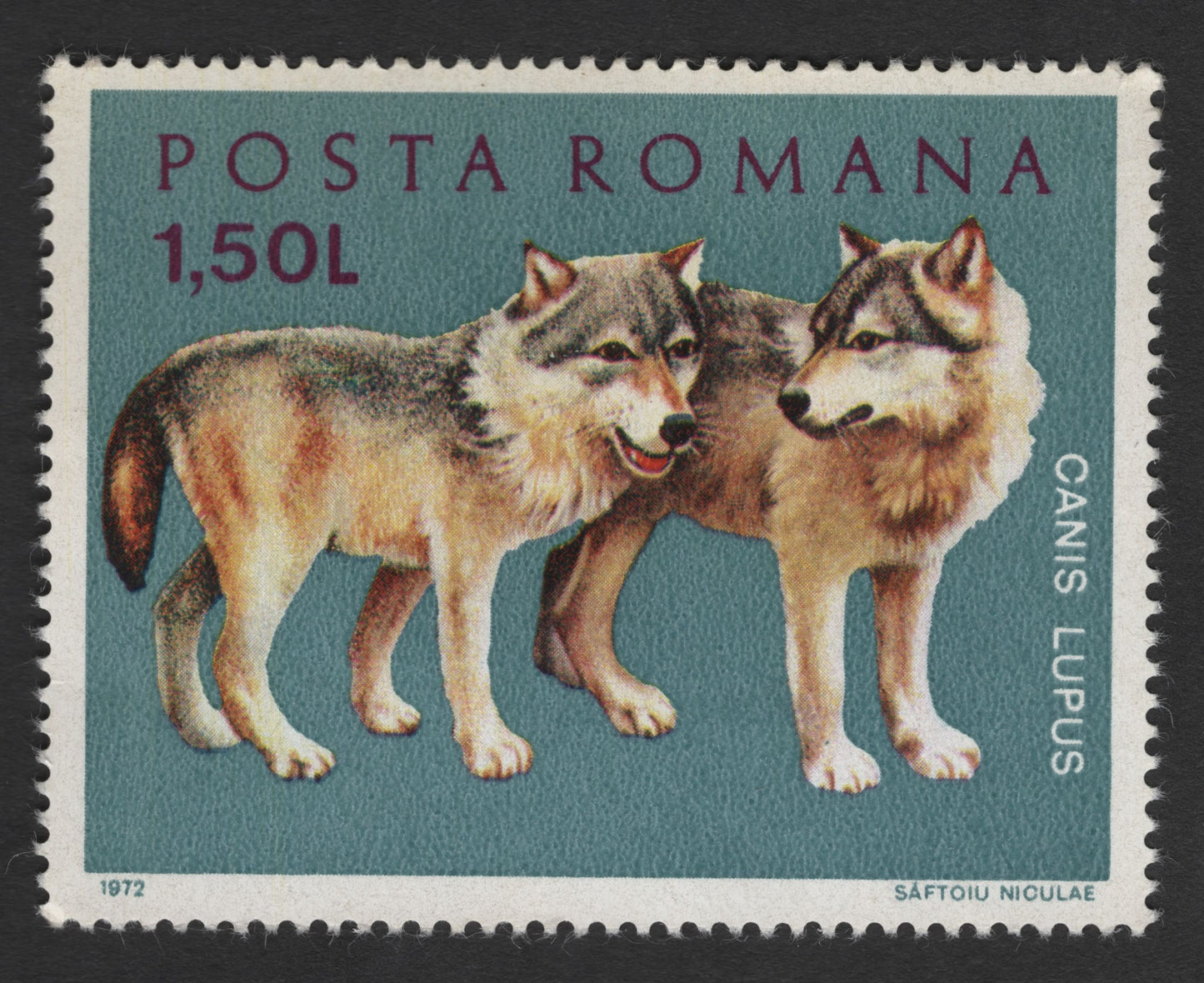 SCG1714 - Romania 1972 Wildlife Set – Bear, Wolf & Fox by Saftoiu Niculae