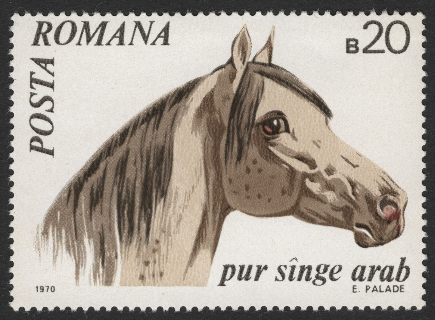 SCG1709 - Romania 1970 Horse Breeds Stamps – American Trotter & Arabian