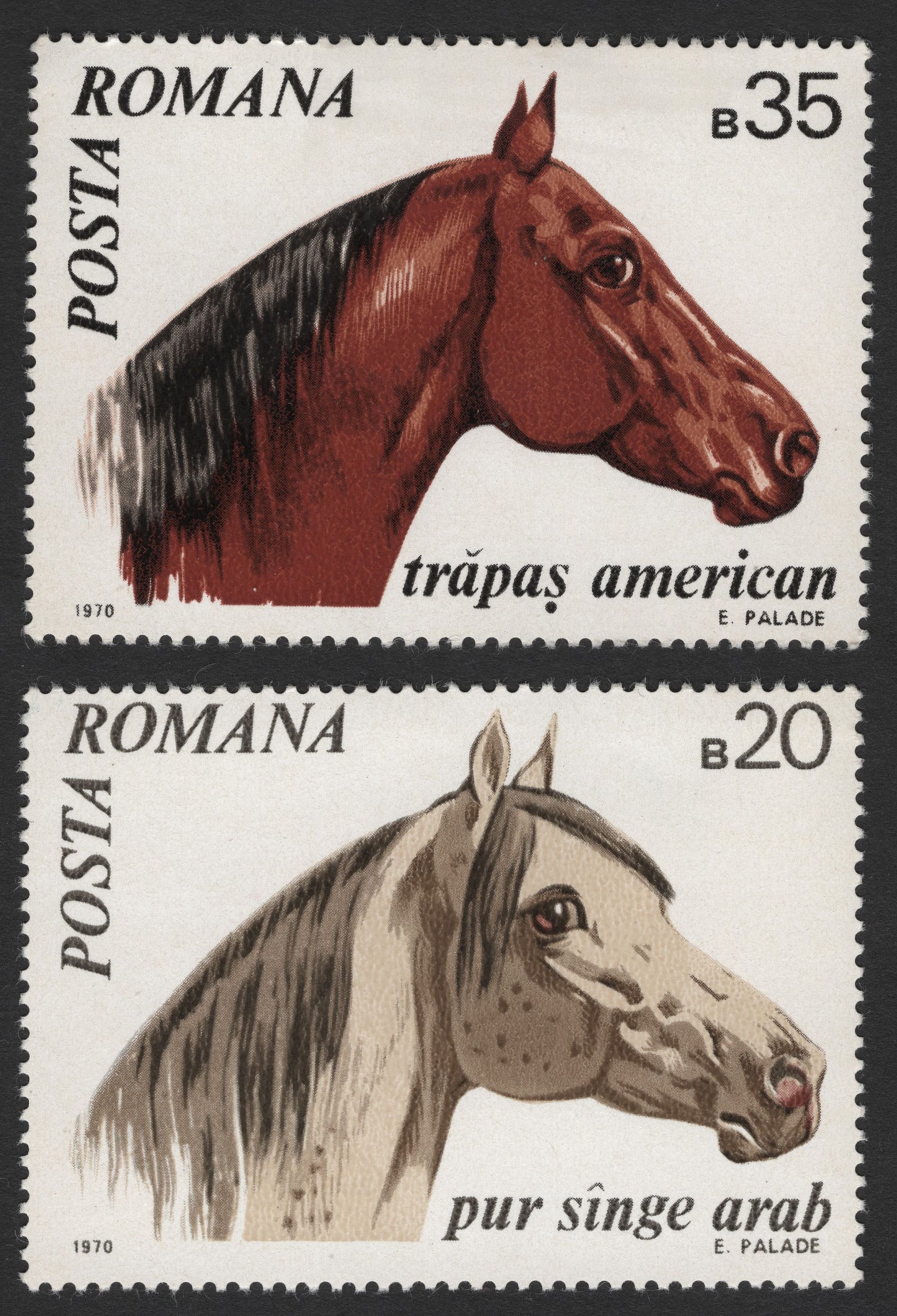 SCG1709 - Romania 1970 Horse Breeds Stamps – American Trotter & Arabian