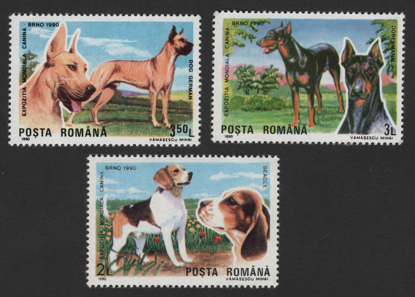 SCG1711 - Romania 1990 Dog Breeds Stamps – World Canine Exhibition, Brno