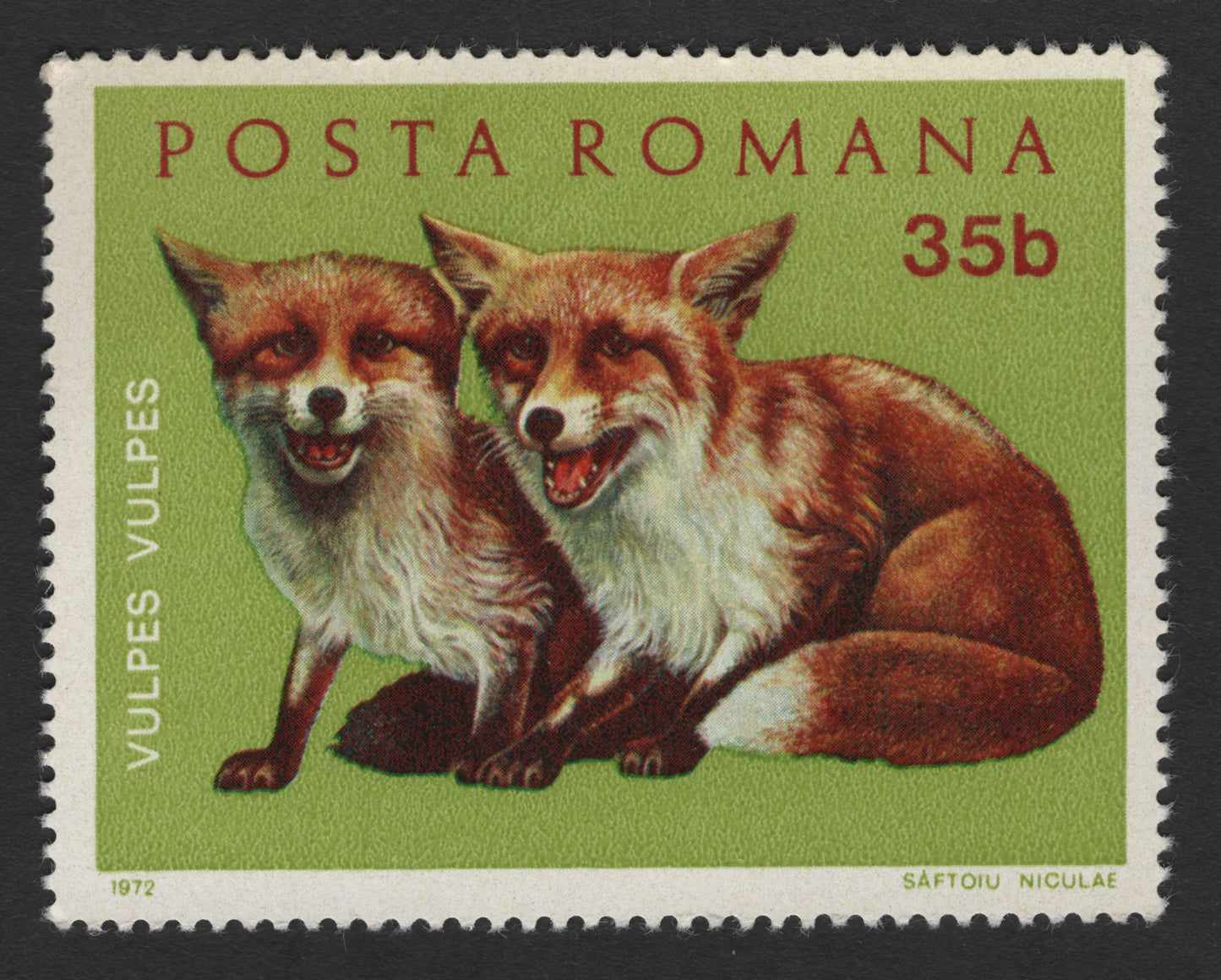 SCG1714 - Romania 1972 Wildlife Set – Bear, Wolf & Fox by Saftoiu Niculae