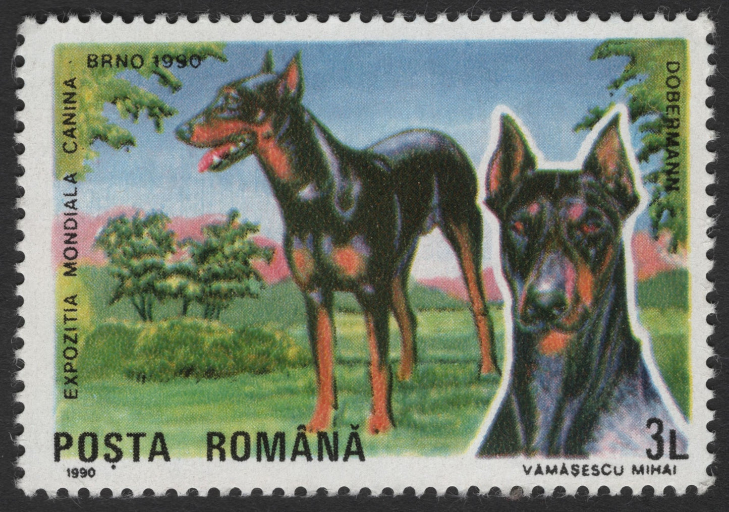 SCG1711 - Romania 1990 Dog Breeds Stamps – World Canine Exhibition, Brno