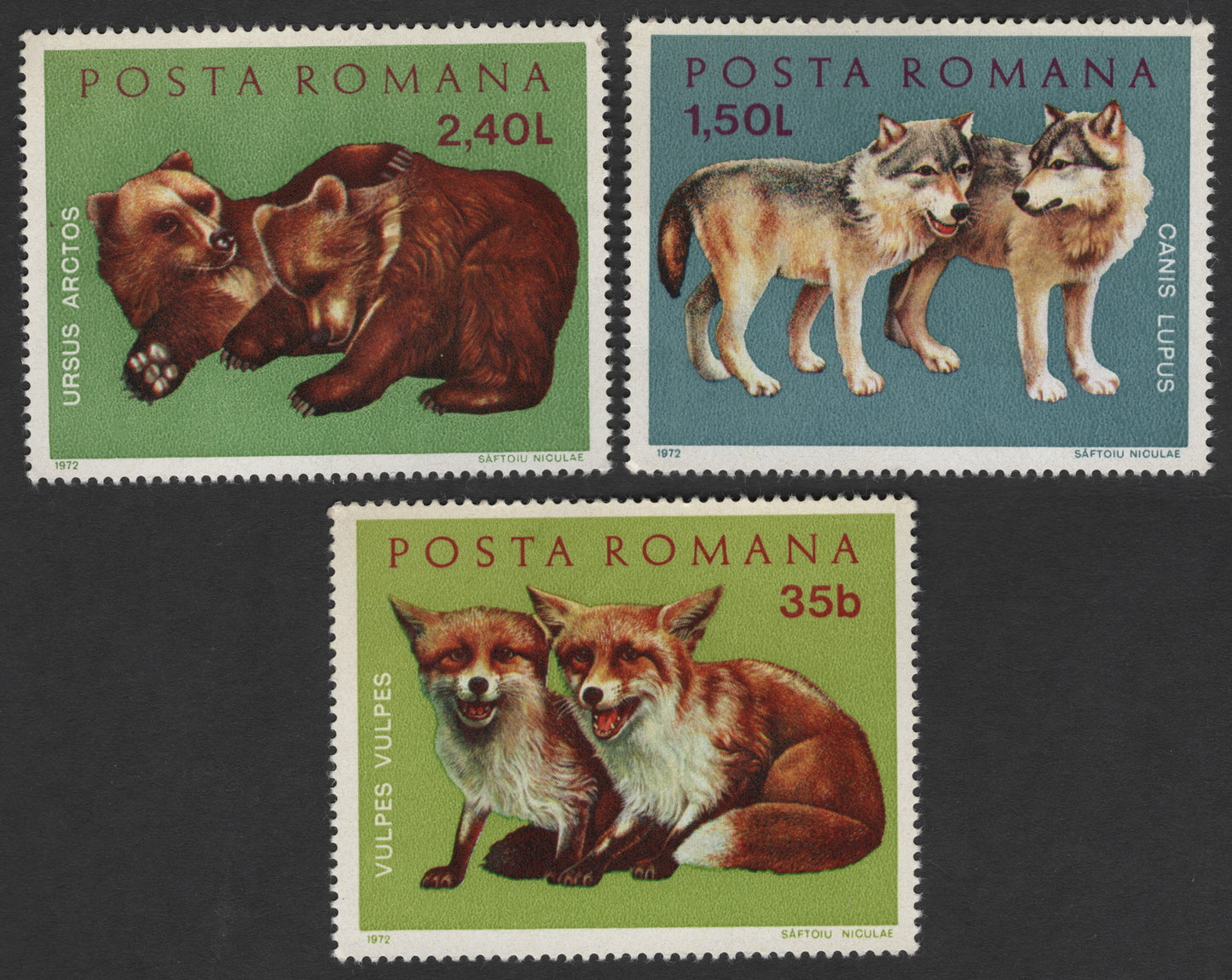 SCG1714 - Romania 1972 Wildlife Set – Bear, Wolf & Fox by Saftoiu Niculae