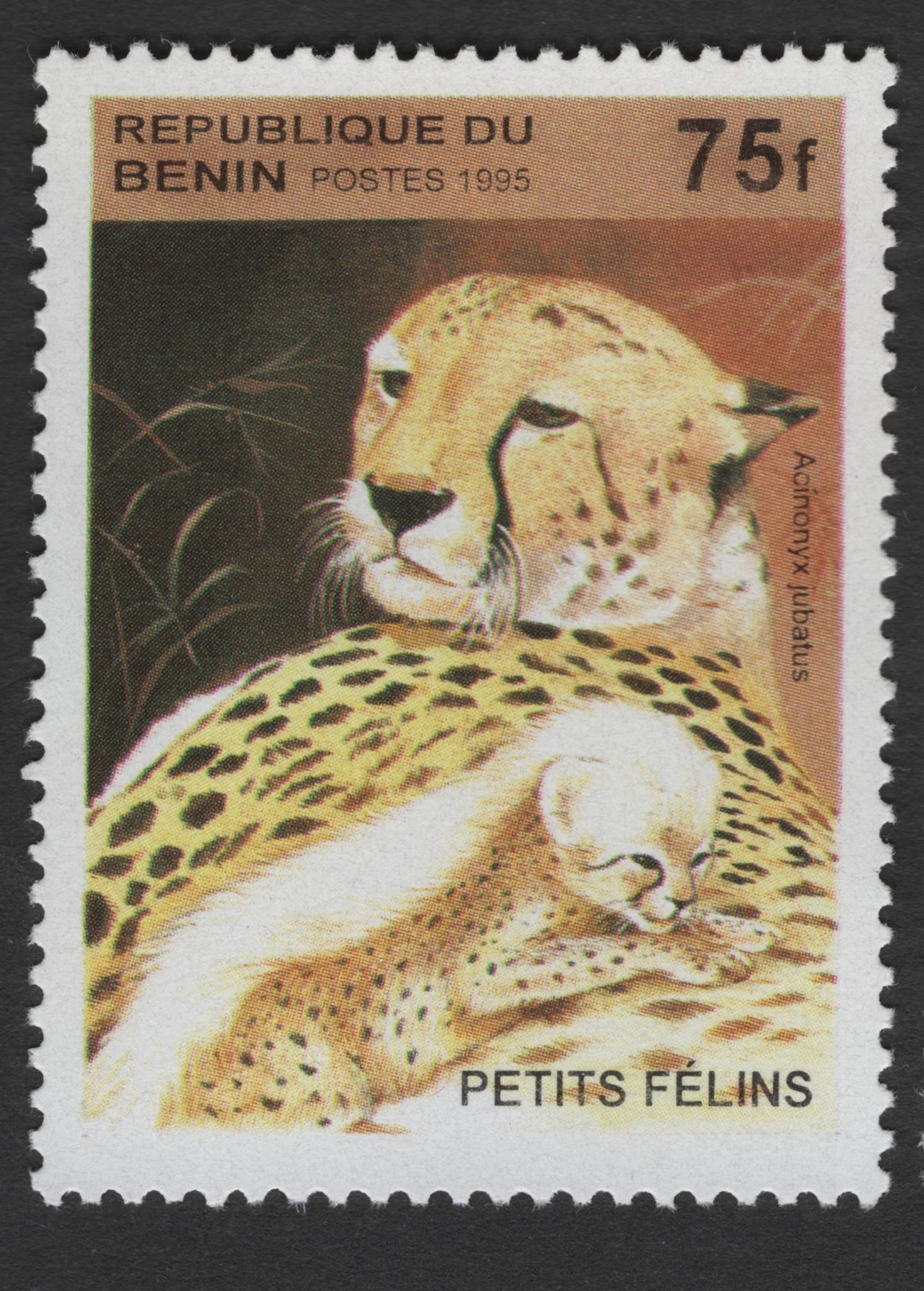 SCG1713 - Benin 1995 Cheetah & Leopard Cubs – Petits Félins Wild Cat Series