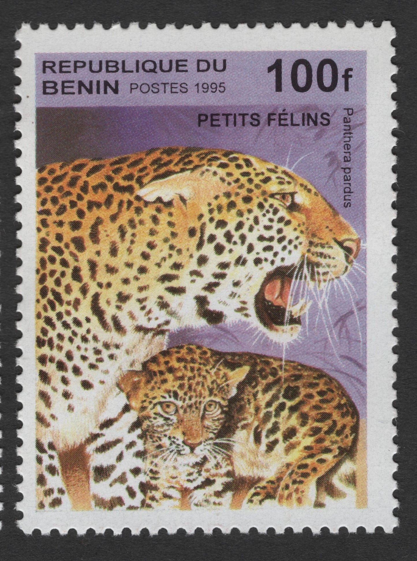 SCG1713 - Benin 1995 Cheetah & Leopard Cubs – Petits Félins Wild Cat Series