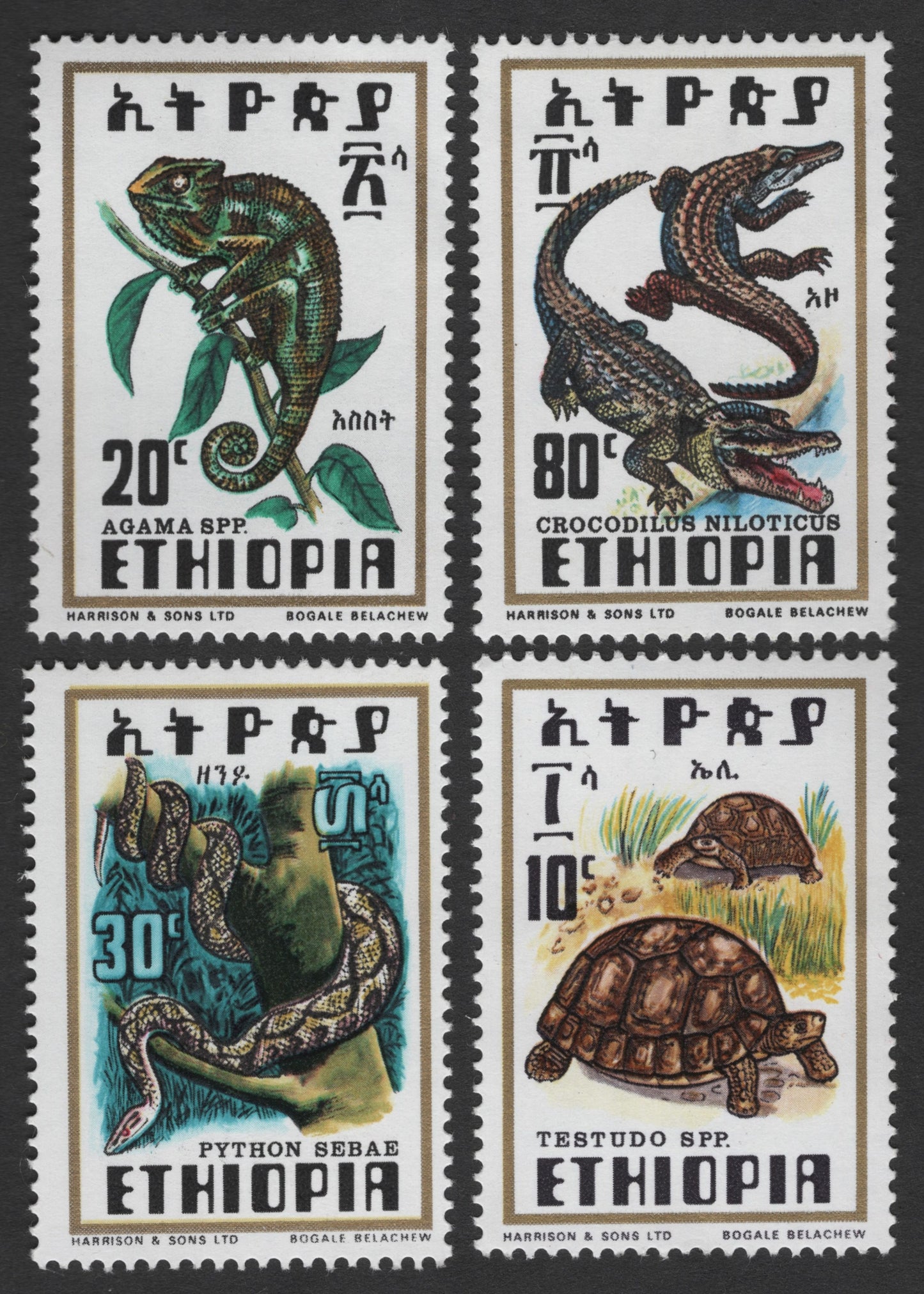 SCG1715 - Ethiopia Reptile Series – Agama, Crocodile, Python & Tortoise