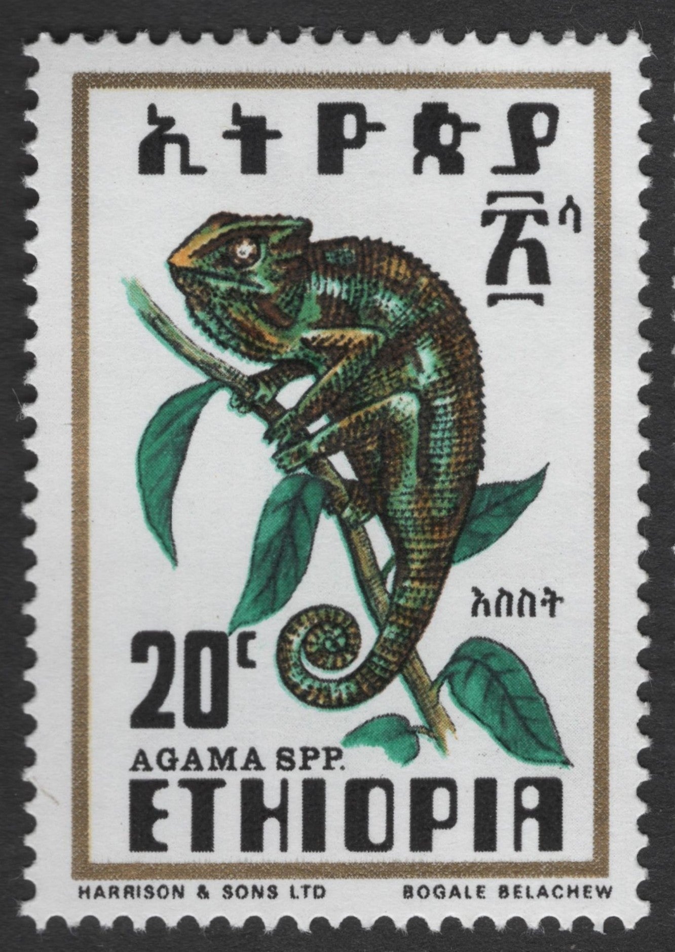 SCG1715 - Ethiopia Reptile Series – Agama, Crocodile, Python & Tortoise