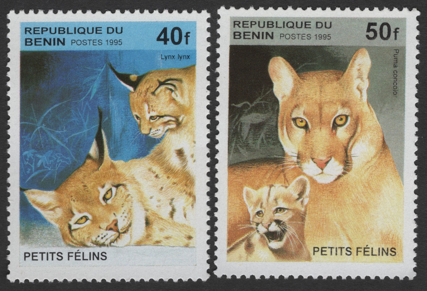 SCG1712 - Benin 1995 Wild Cat Cubs – Lynx & Puma “Petits Félins” Series