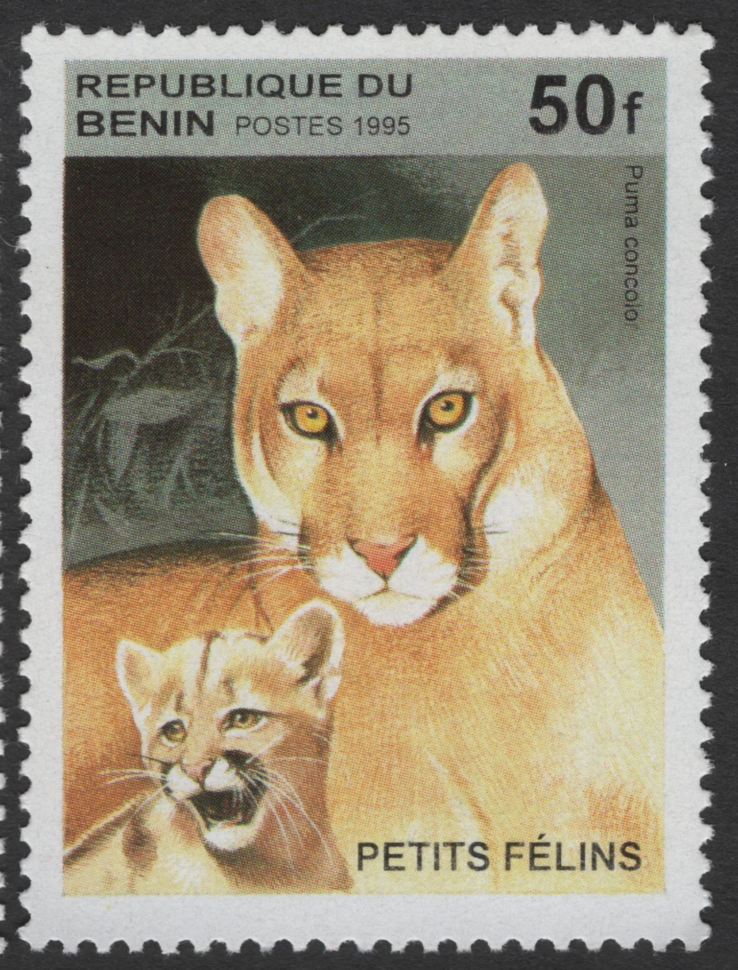 SCG1712 - Benin 1995 Wild Cat Cubs – Lynx & Puma “Petits Félins” Series