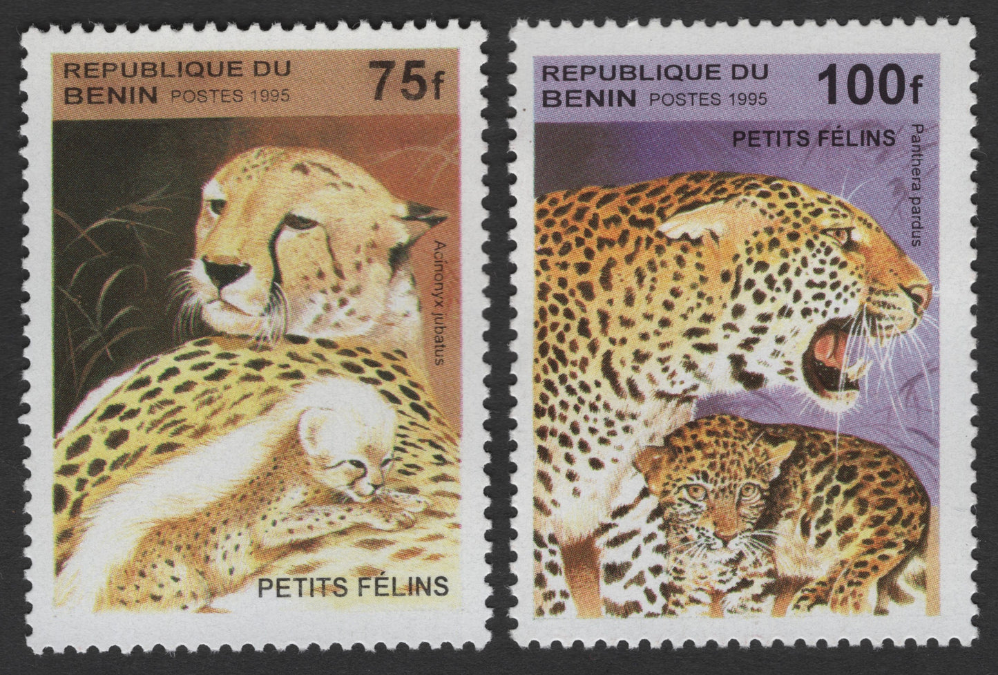 SCG1713 - Benin 1995 Cheetah & Leopard Cubs – Petits Félins Wild Cat Series