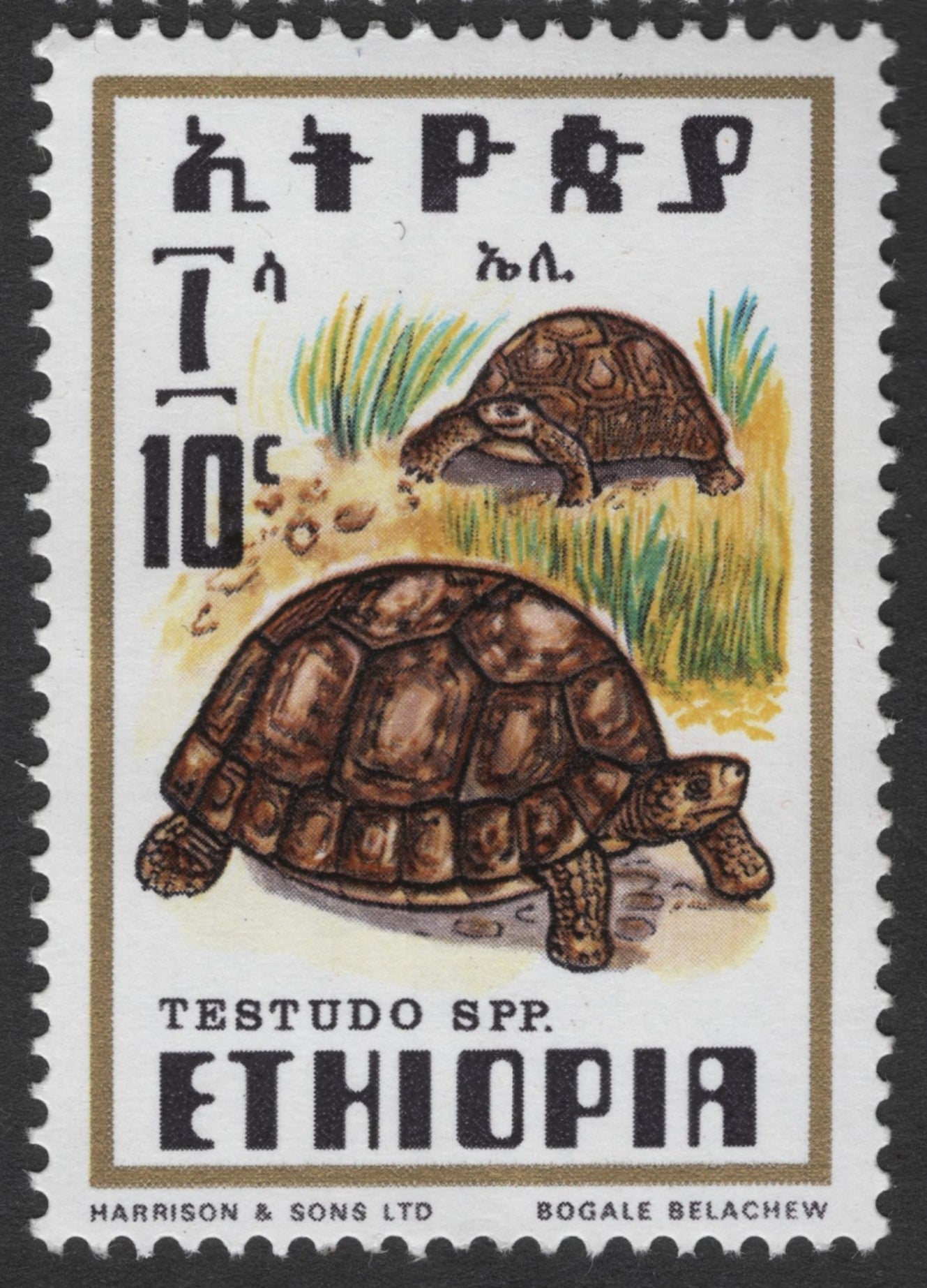 SCG1715 - Ethiopia Reptile Series – Agama, Crocodile, Python & Tortoise