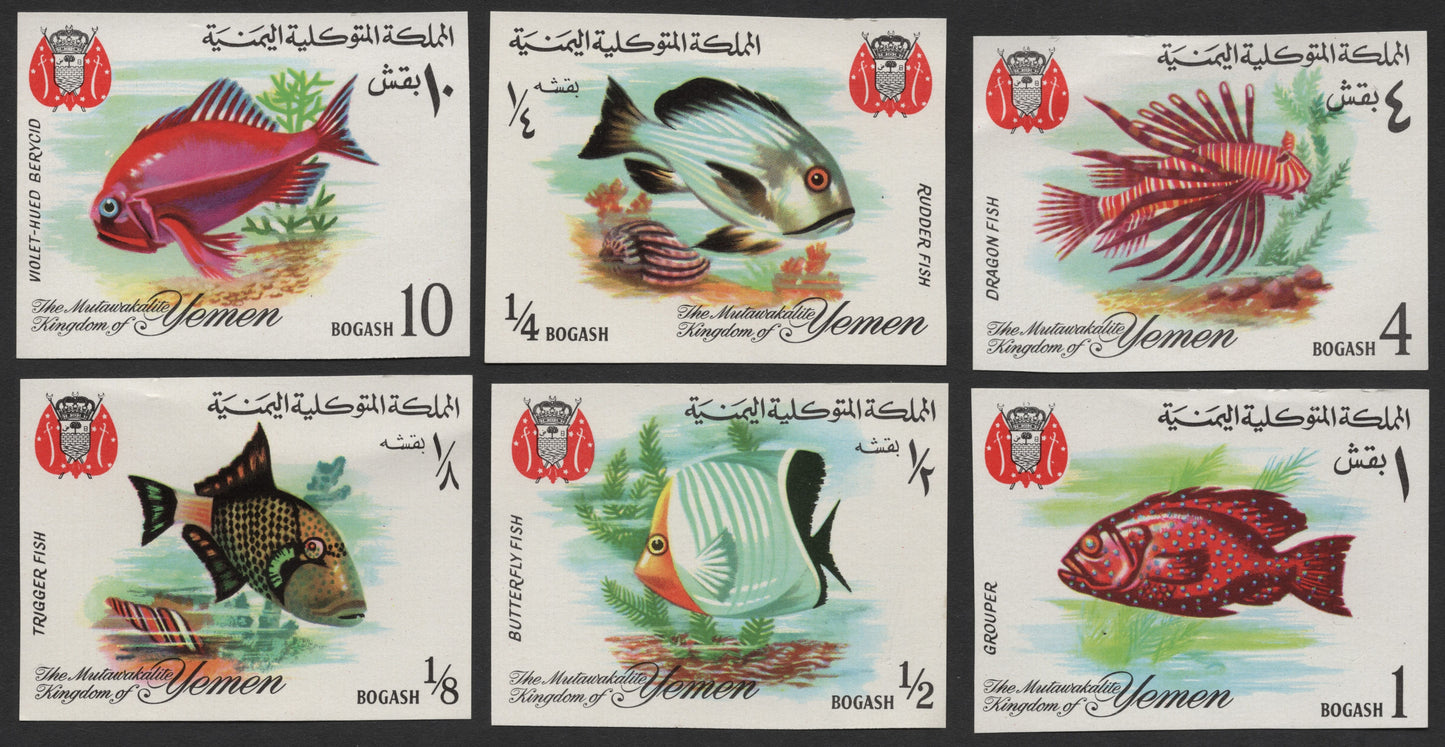 SCG1672 - Yemen Marine Fish Set – The Mutawakelite Kingdom