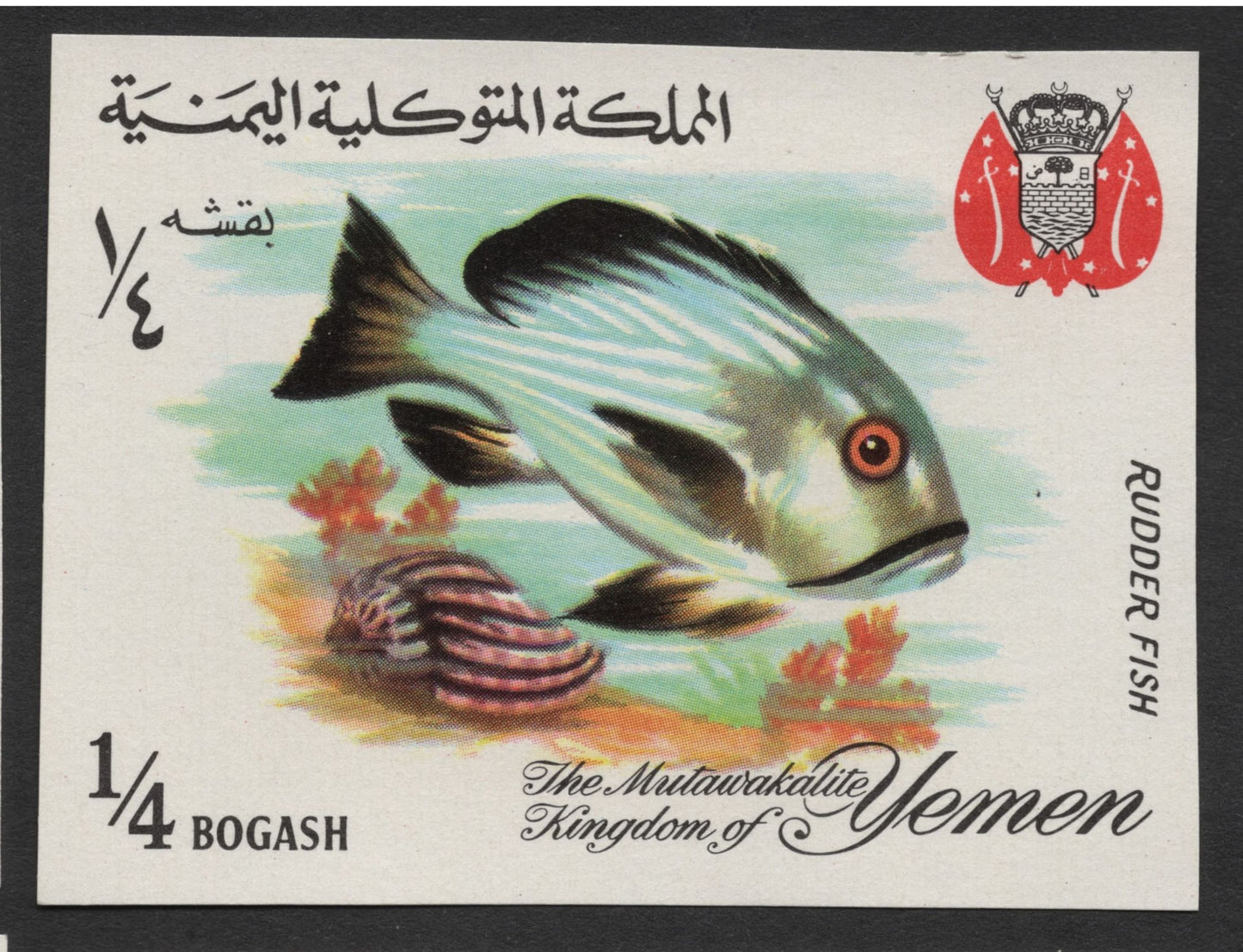 SCG1672 - Yemen Marine Fish Set – The Mutawakelite Kingdom