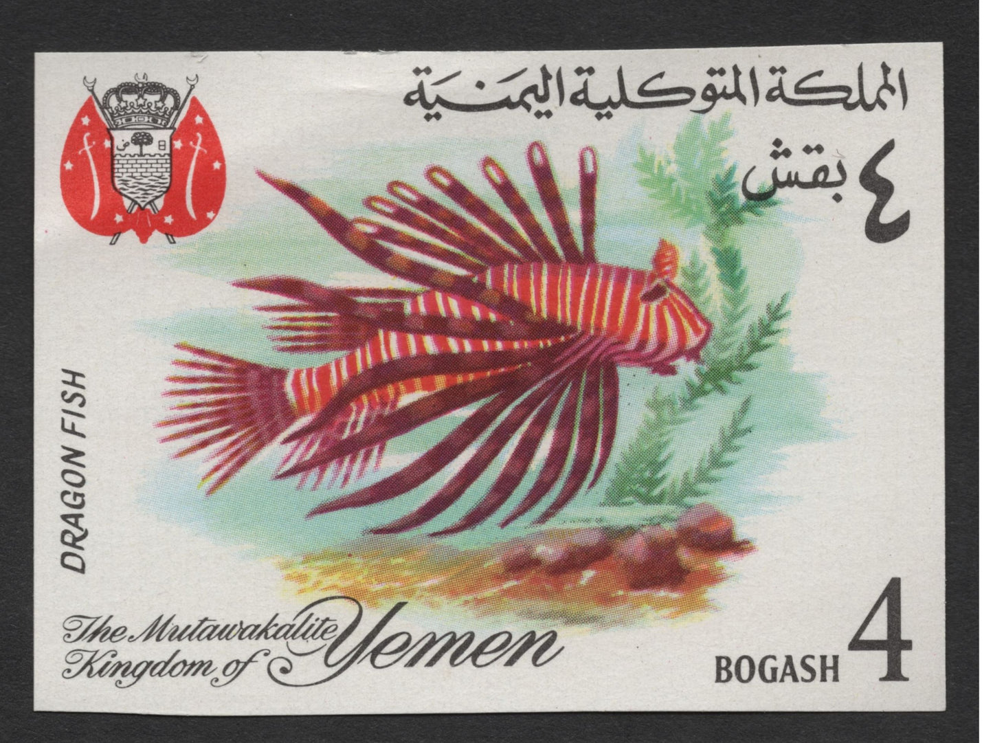 SCG1672 - Yemen Marine Fish Set – The Mutawakelite Kingdom