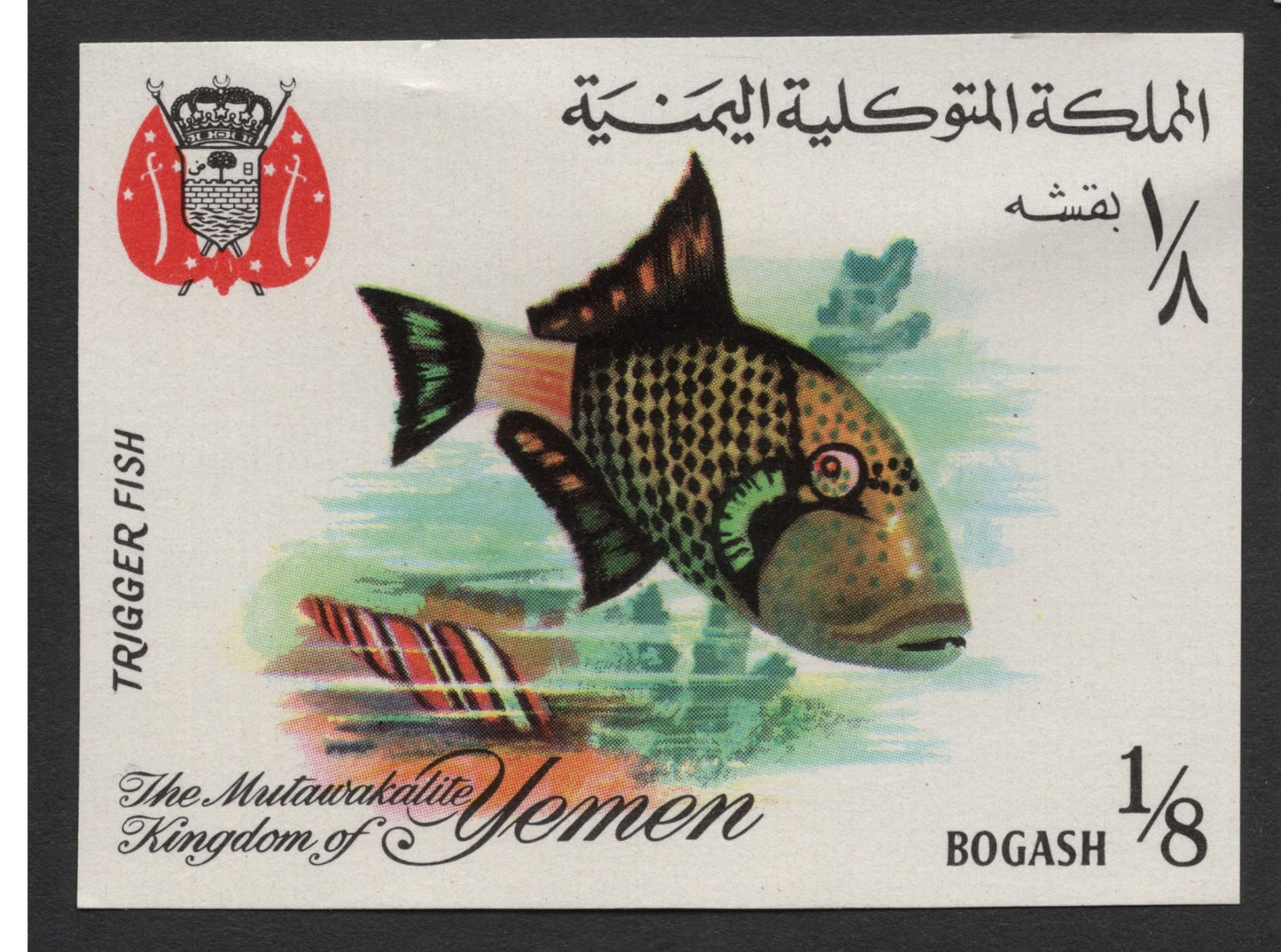SCG1672 - Yemen Marine Fish Set – The Mutawakelite Kingdom