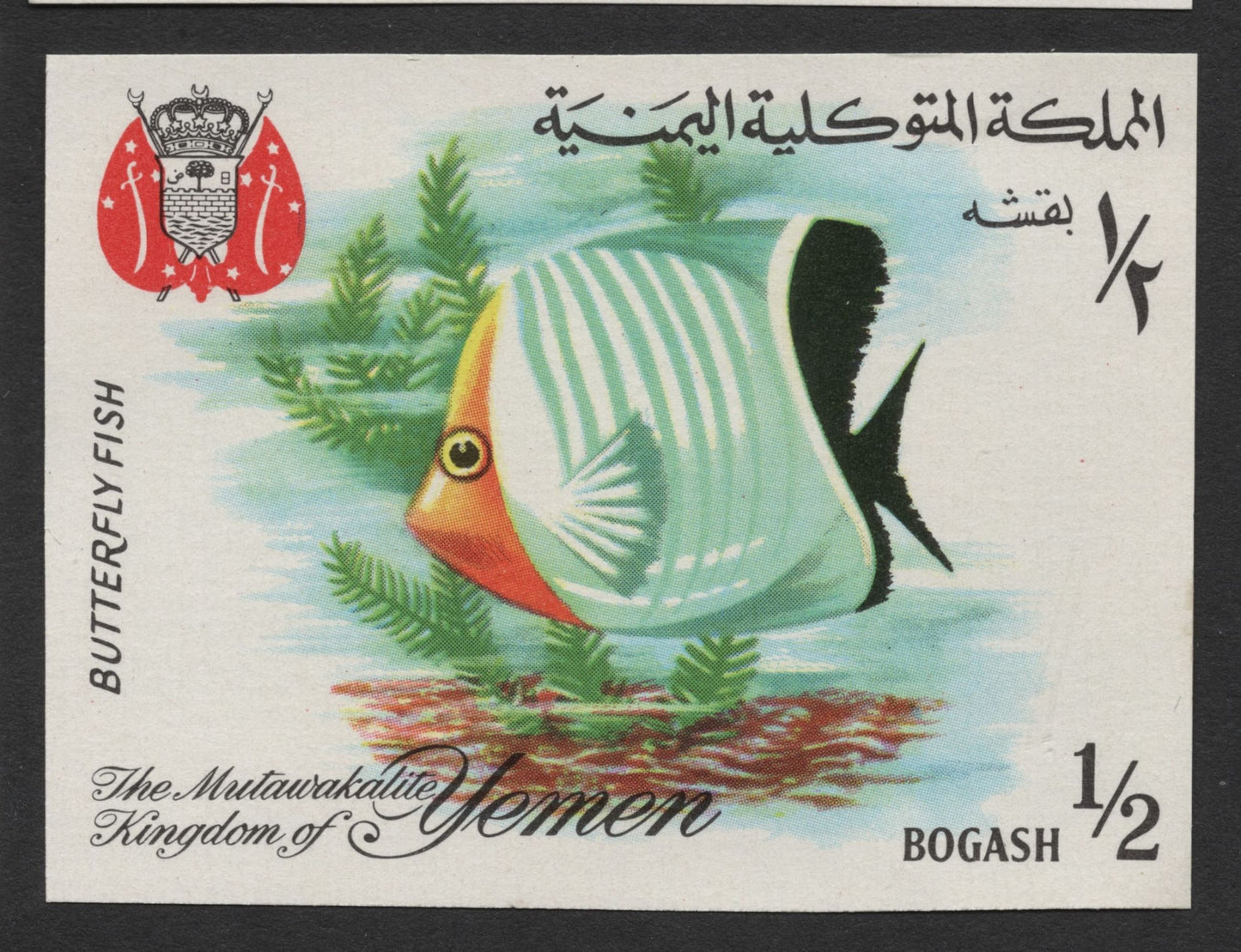 SCG1672 - Yemen Marine Fish Set – The Mutawakelite Kingdom
