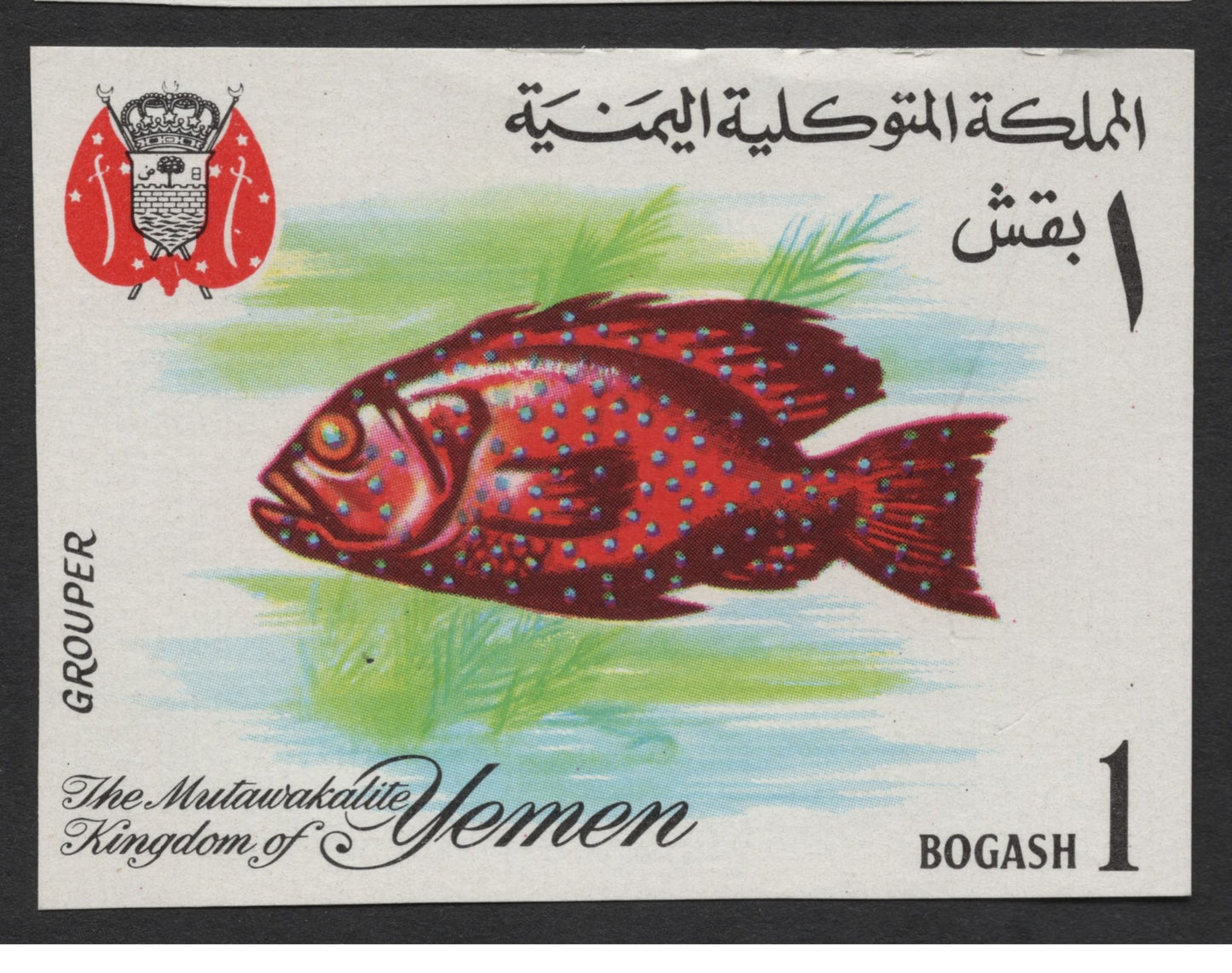 SCG1672 - Yemen Marine Fish Set – The Mutawakelite Kingdom