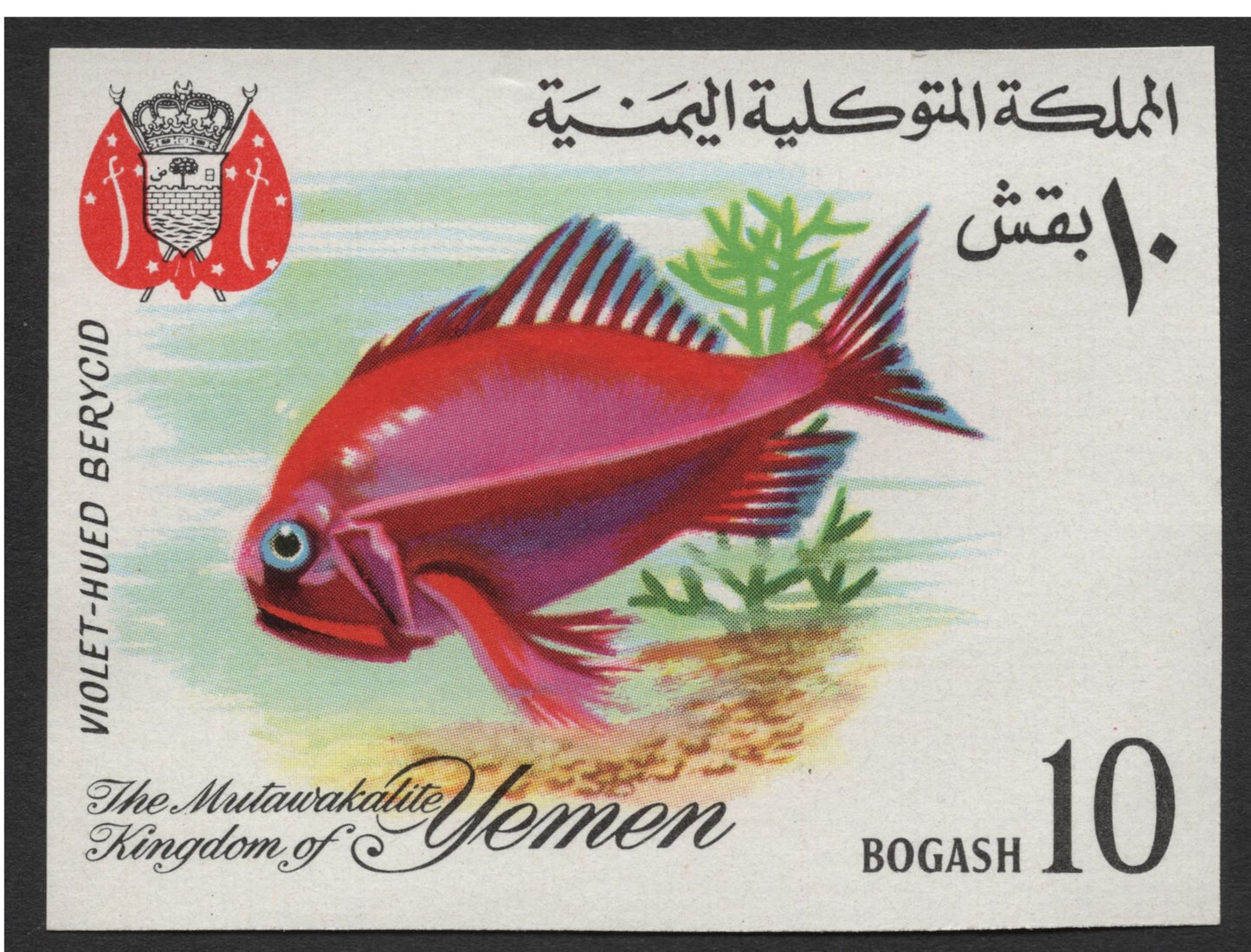 SCG1672 - Yemen Marine Fish Set – The Mutawakelite Kingdom