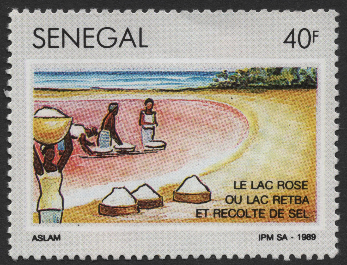 SCG1860 - Senegal 1989 – Salt Harvest at Lake Retba (Lac Rose), 40F