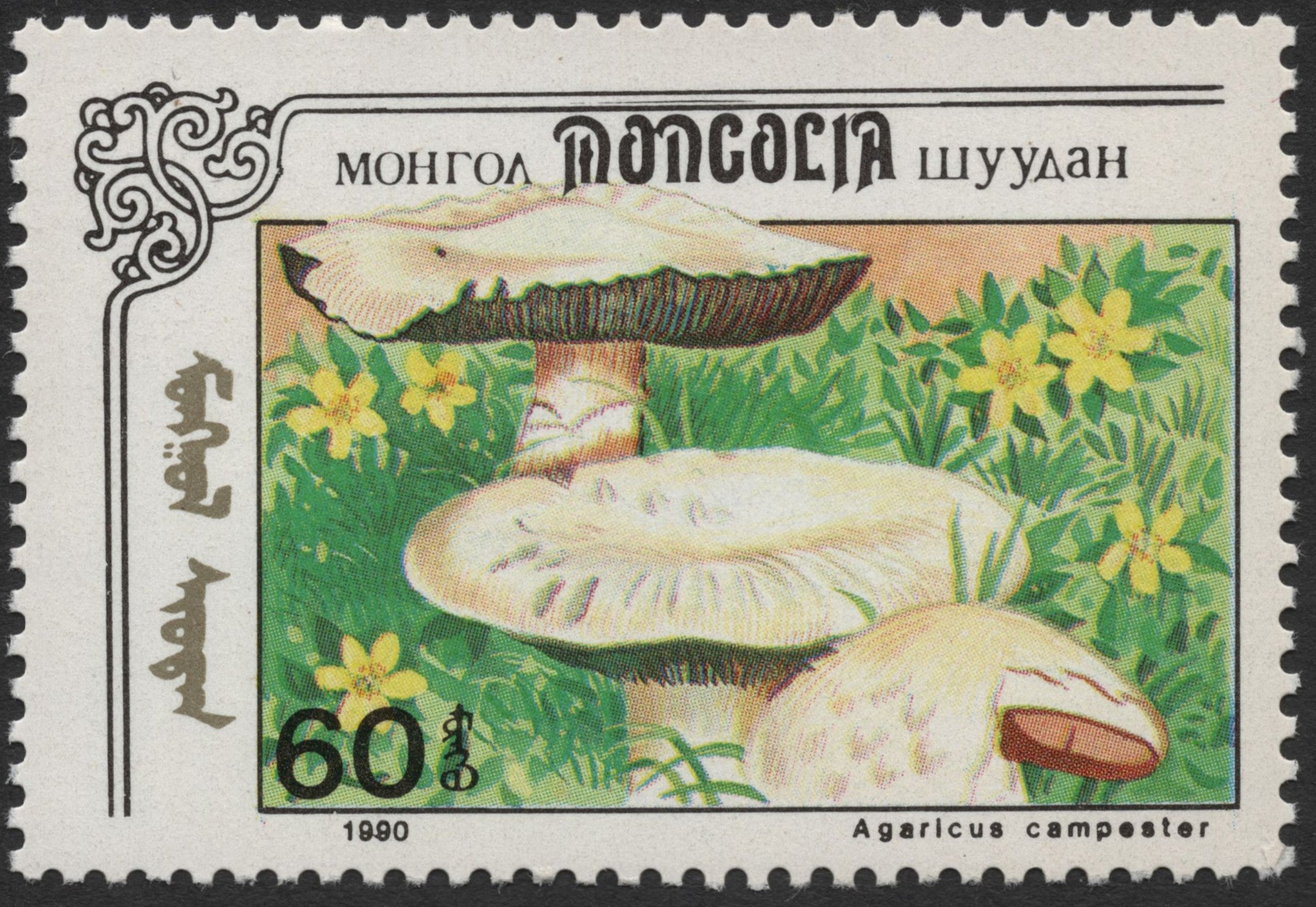 SCG2310 - Mongolia 1990 Agaricus campester Mushroom Stamp – Stamp and ...