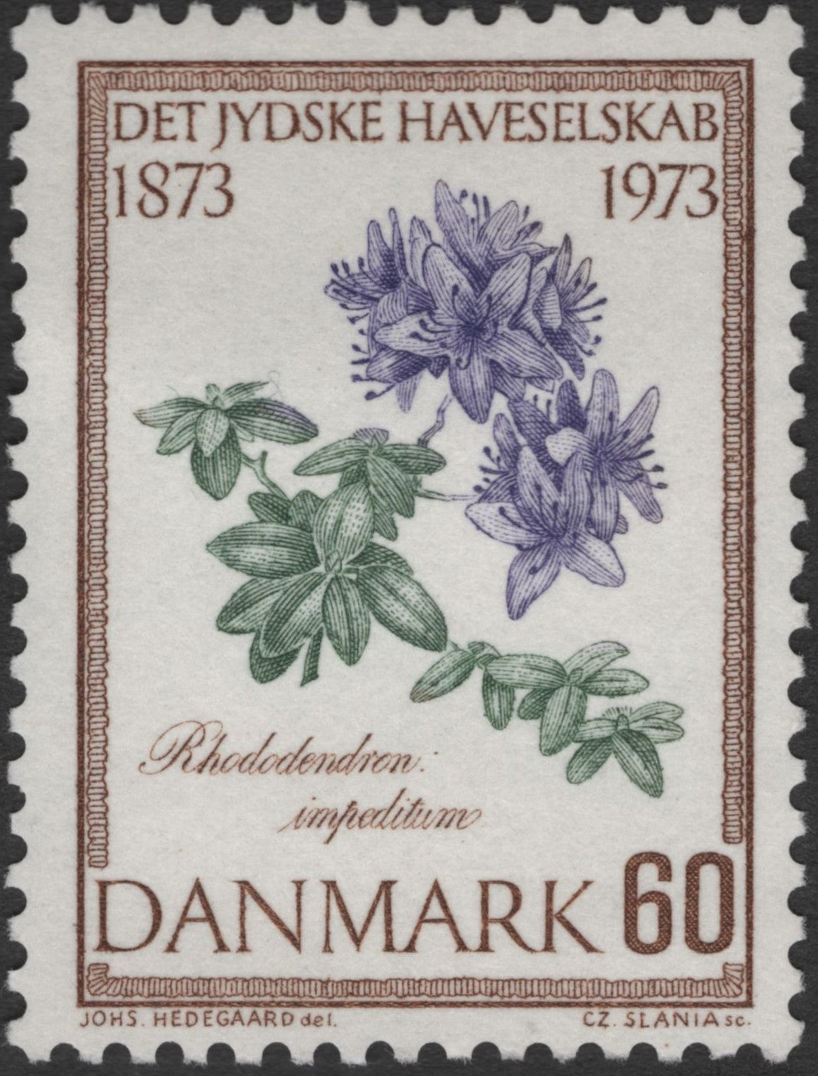 SCG2412 - Denmark 1973 Rhododendron Stamp – 100 Years of the Jutland Garden Society