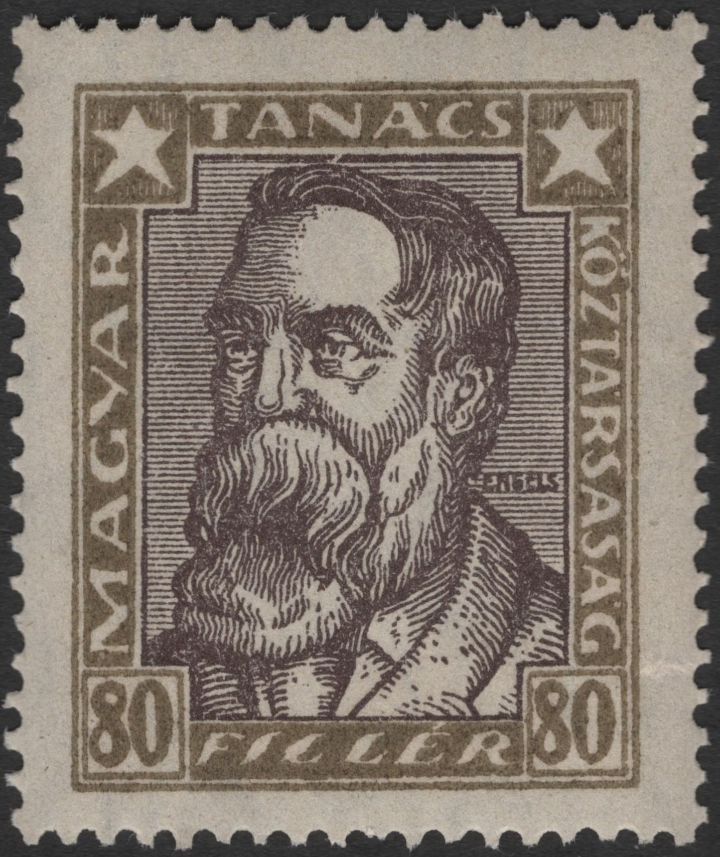 SCG2406 - Hungary 1919 80f Tanácsköztársaság Portrait Stamp