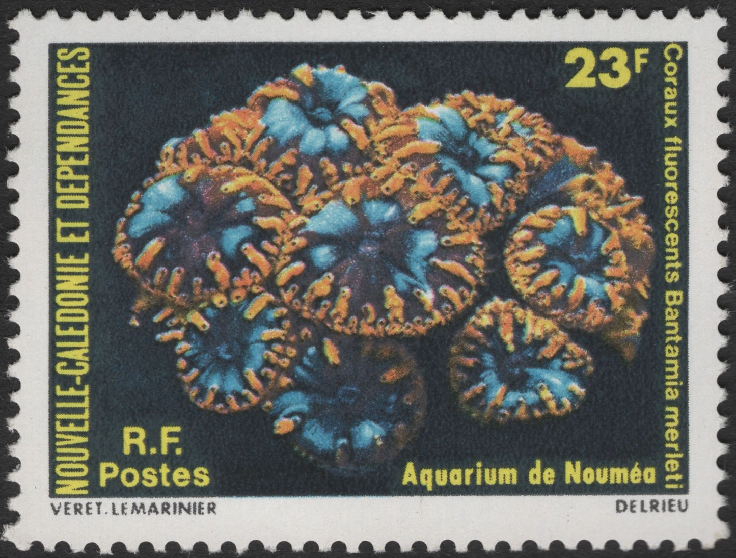 SCG2442 - 1970s New Caledonia 23F Fluorescent Coral Stamp – Bantamia merleti