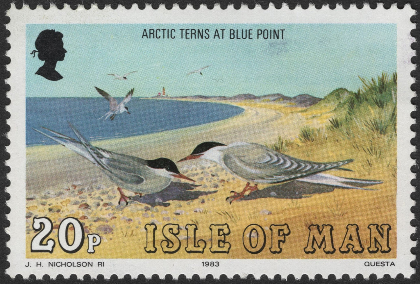 SCG2520 - 1983 Isle of Man – Arctic Terns at Blue Point