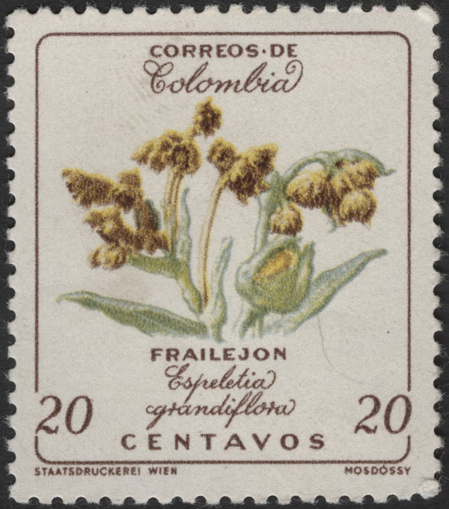 SCG2685 - Colombia 20 Centavos "Frailejón" Botanical Stamp – Espeletia grandiflora