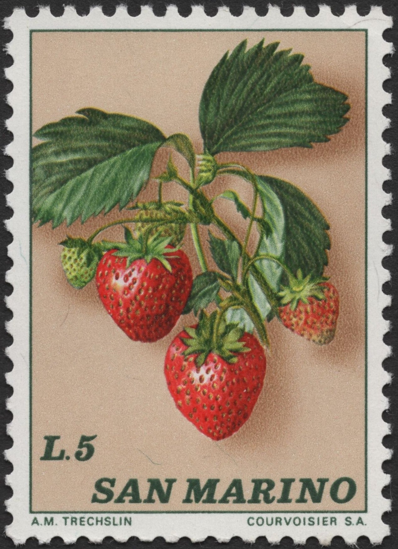 SCG2785 - San Marino 5 Lire Strawberry Stamp – Botanical Illustration