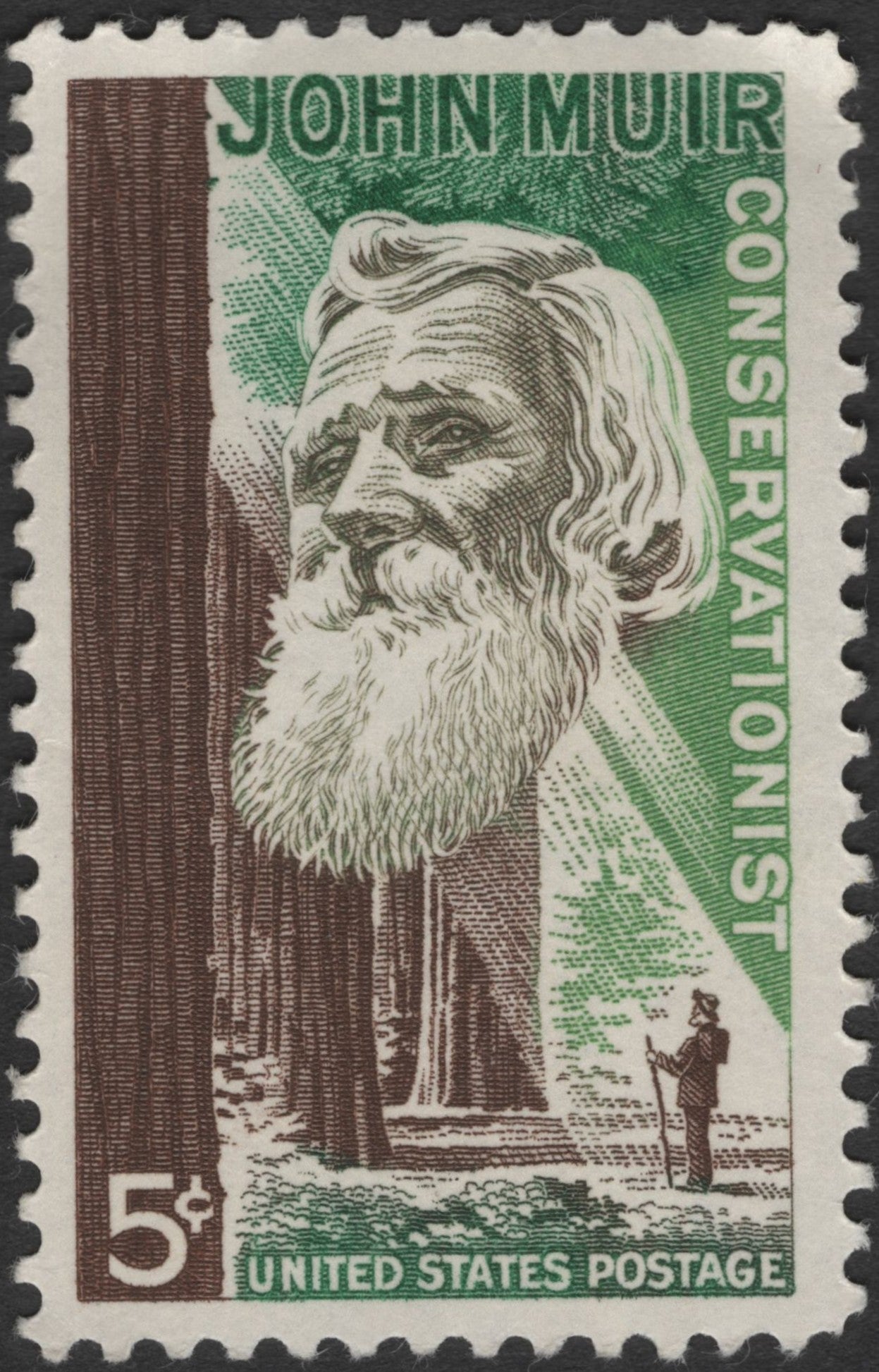 SCG2962 - USA 1964 – John Muir Conservationist 5¢ Stamp
