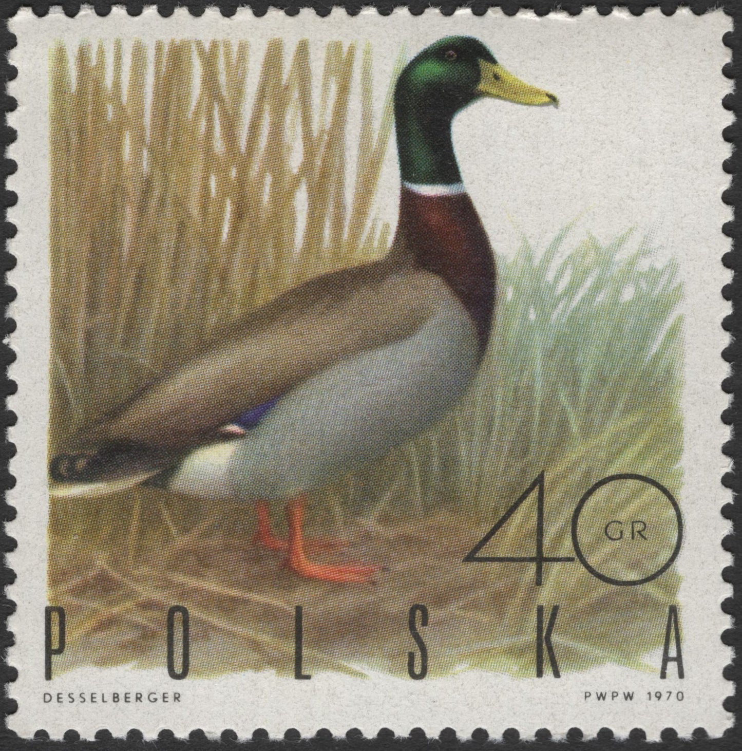 SCG3119 - Poland 1970 Mallard Duck Stamp – 40 Groszy