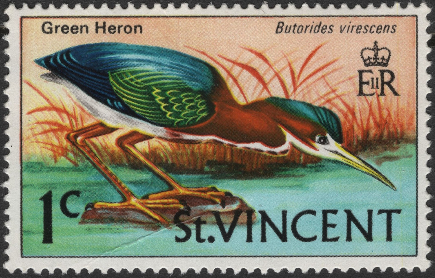 SCG3105 - St. Vincent 1c Green Heron Stamp (Butorides virescens)