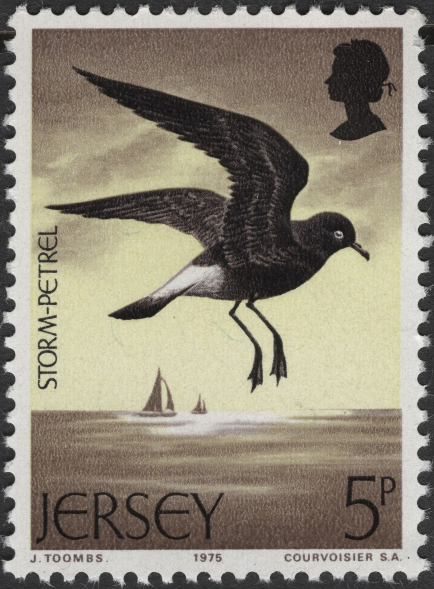 SCG3125 - Jersey 1975 Storm-Petrel Stamp (5p)