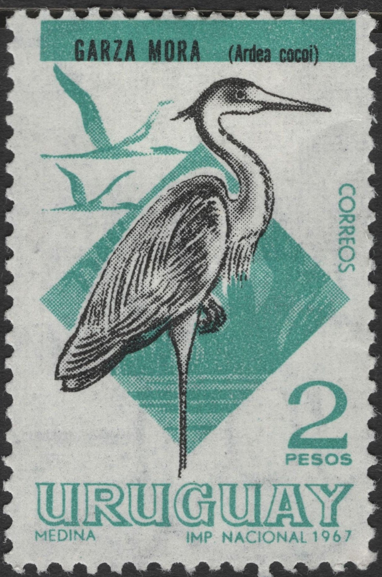 SCG3127 - Uruguay 1967 Garza Mora (Cocoi Heron) Stamp – 2 Pesos